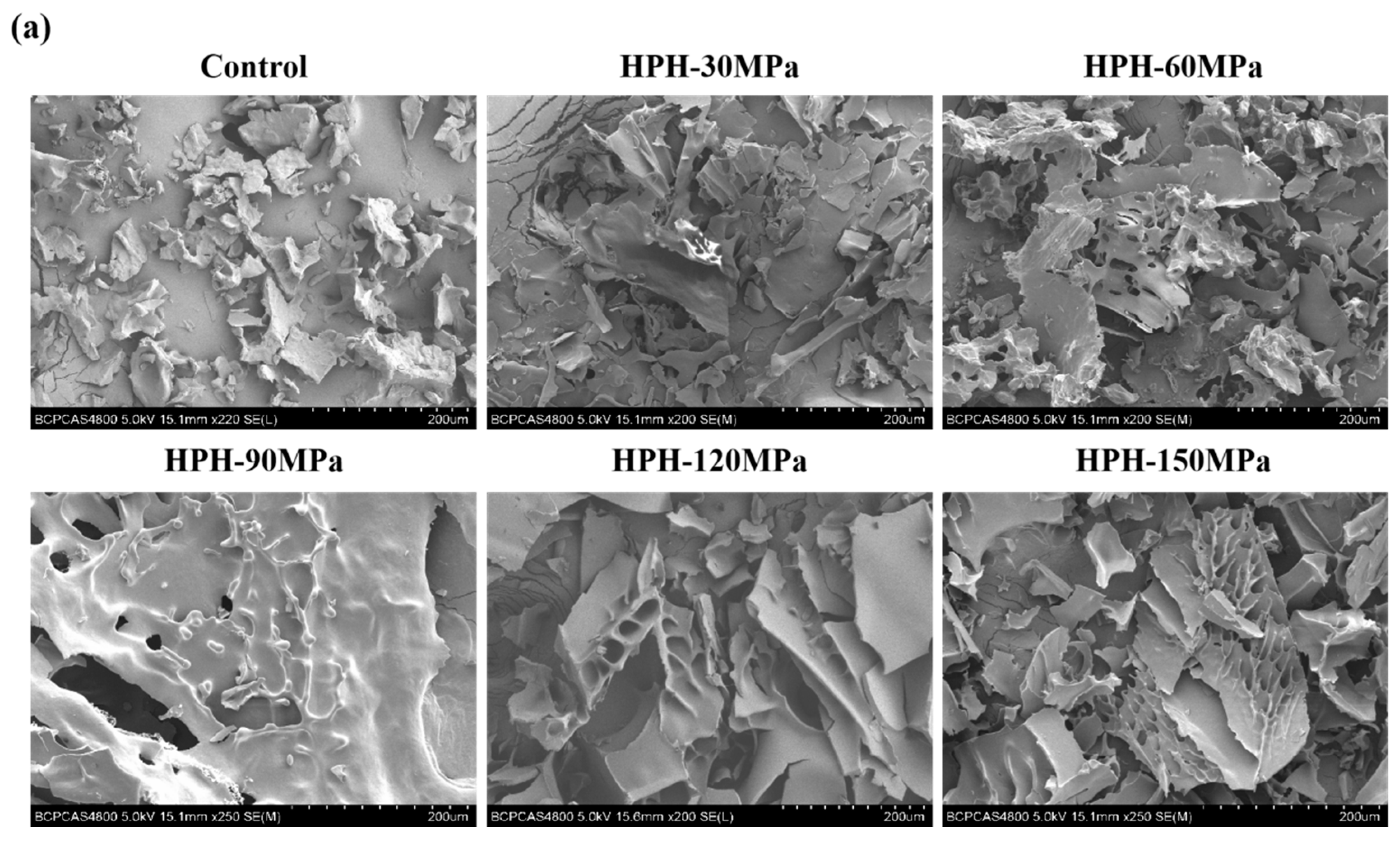 Foods 12 03358 g004a