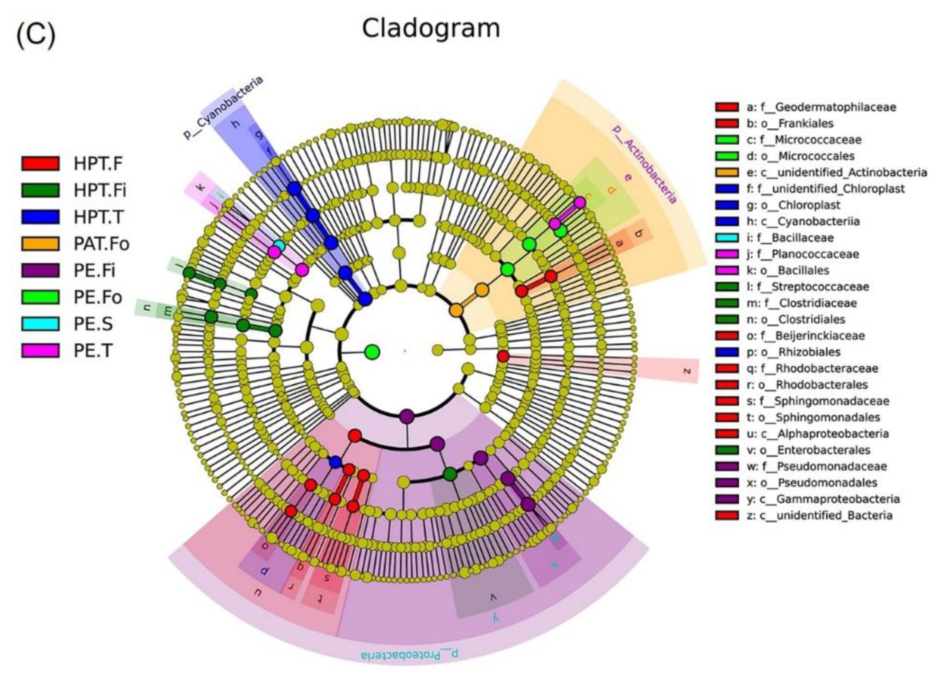 Foods 12 03370 g005b