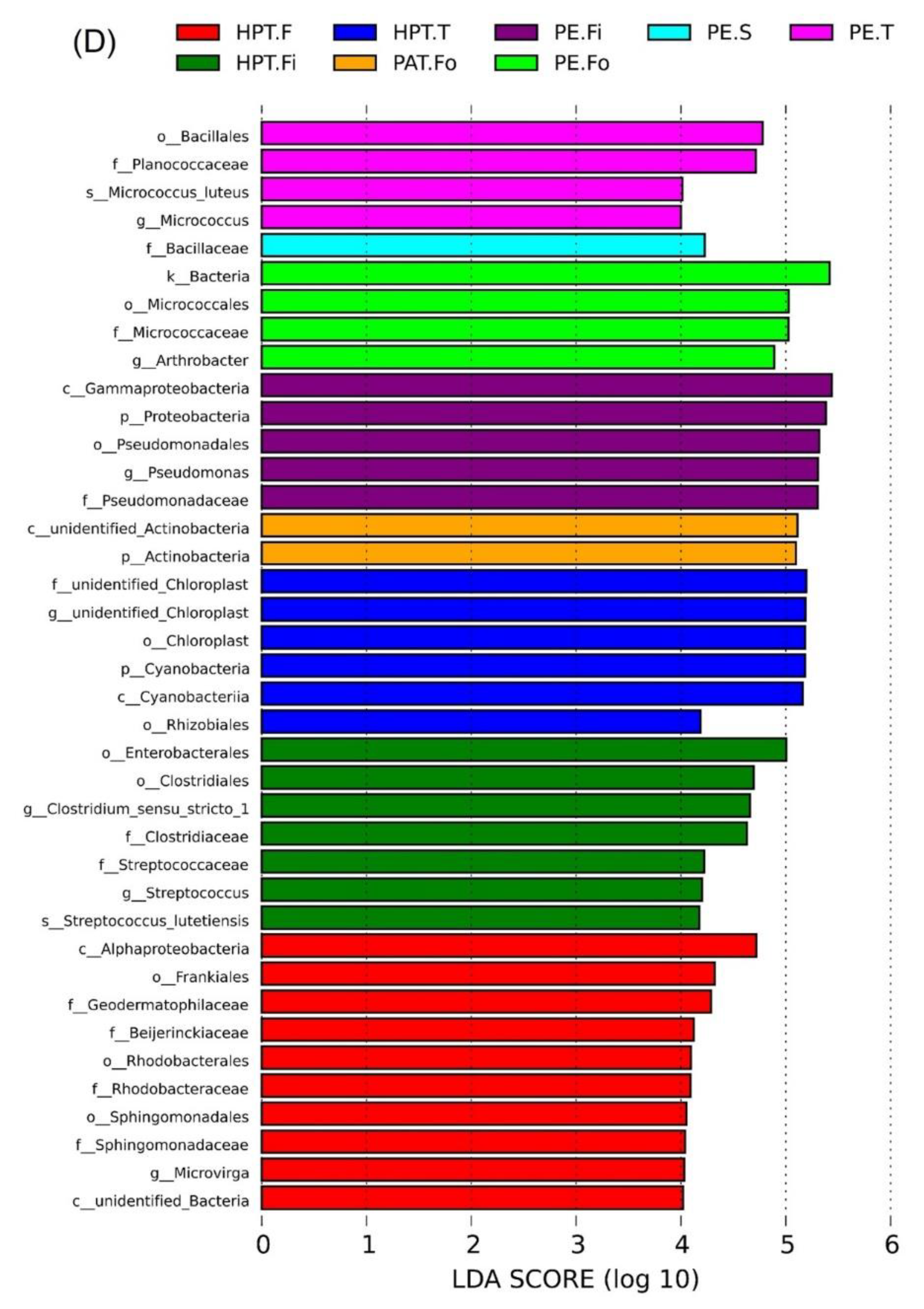 Foods 12 03370 g005c
