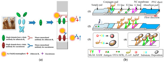 Foods 12 03448 g003a