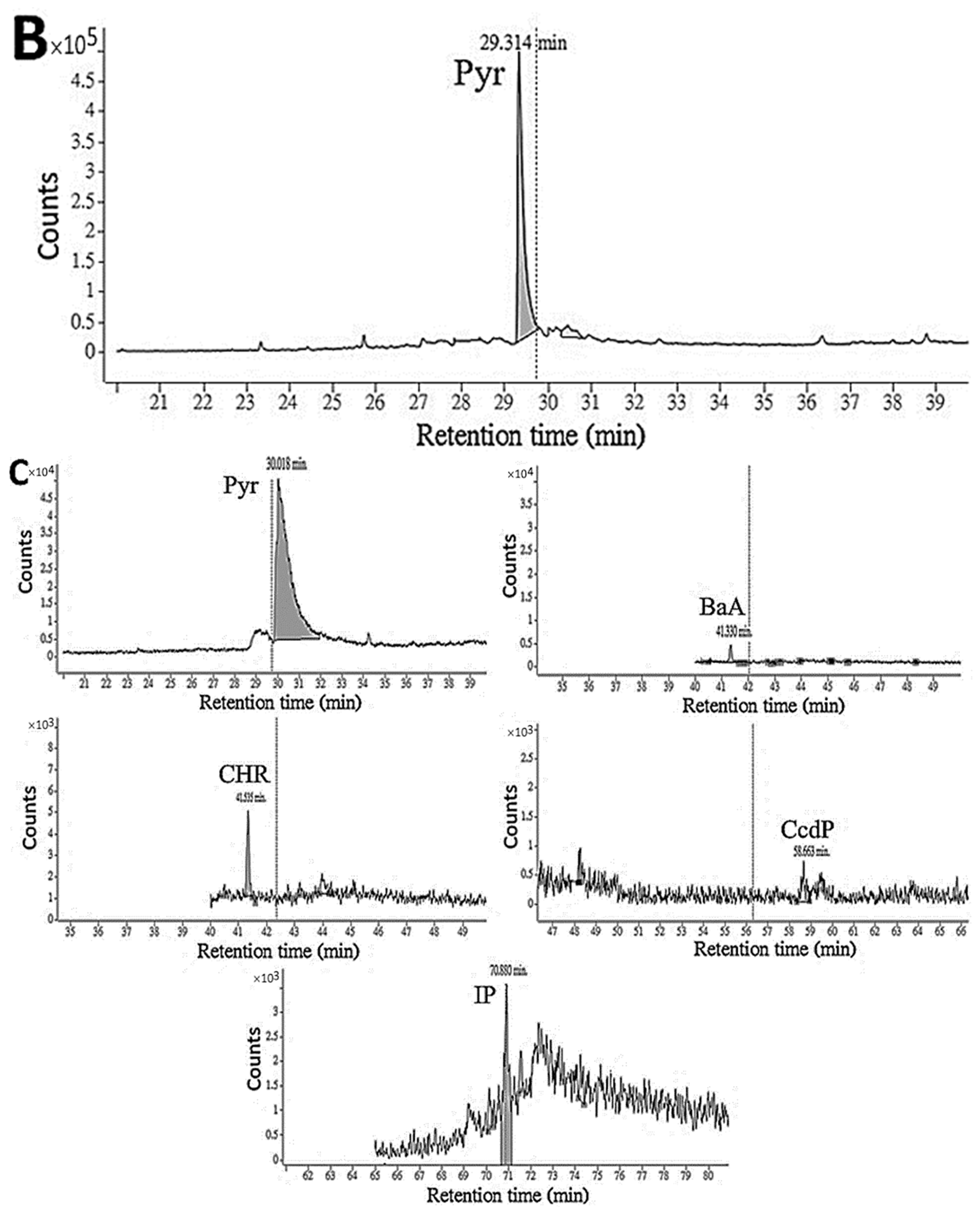 Foods 12 03504 g003b