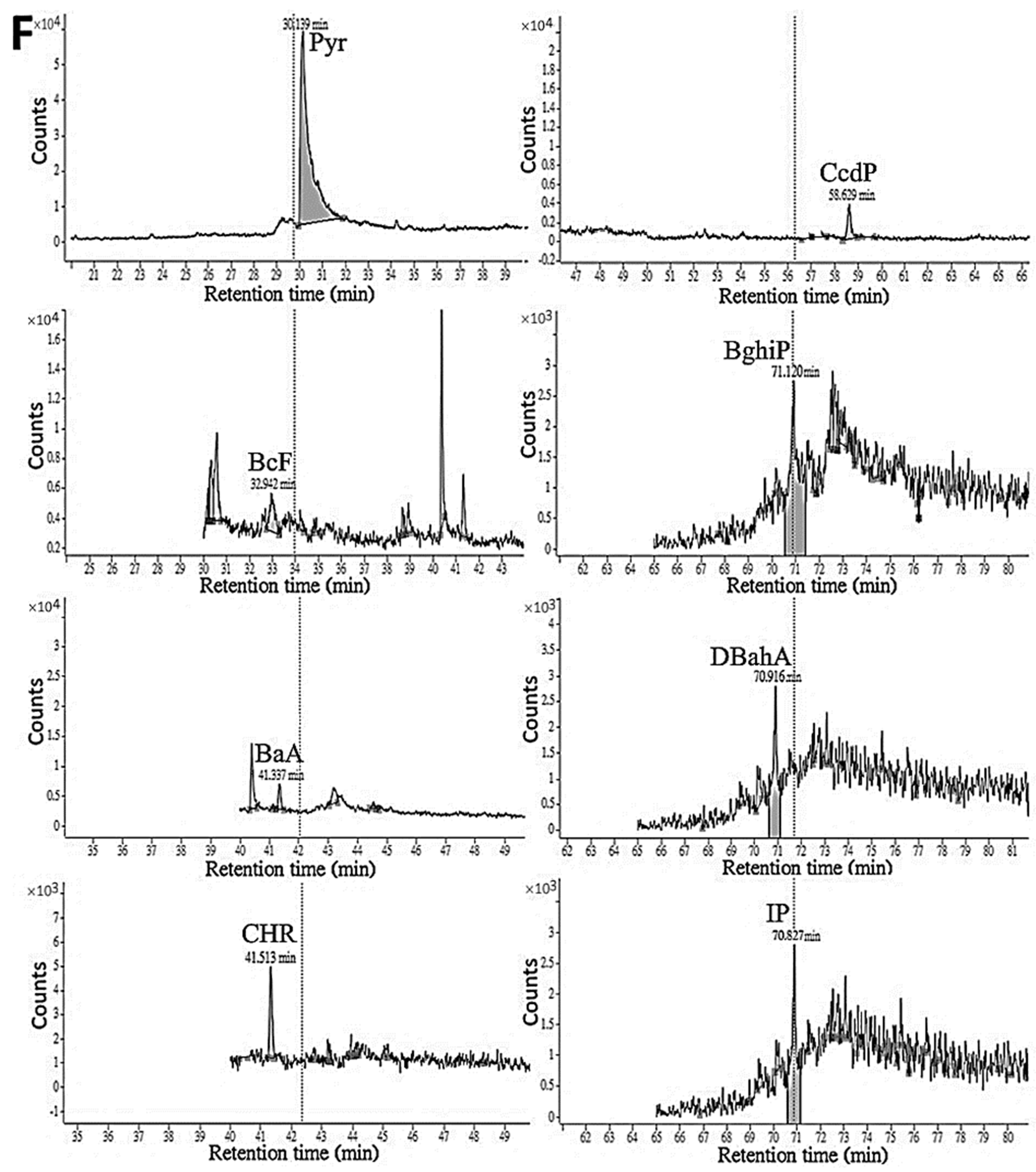 Foods 12 03504 g003e