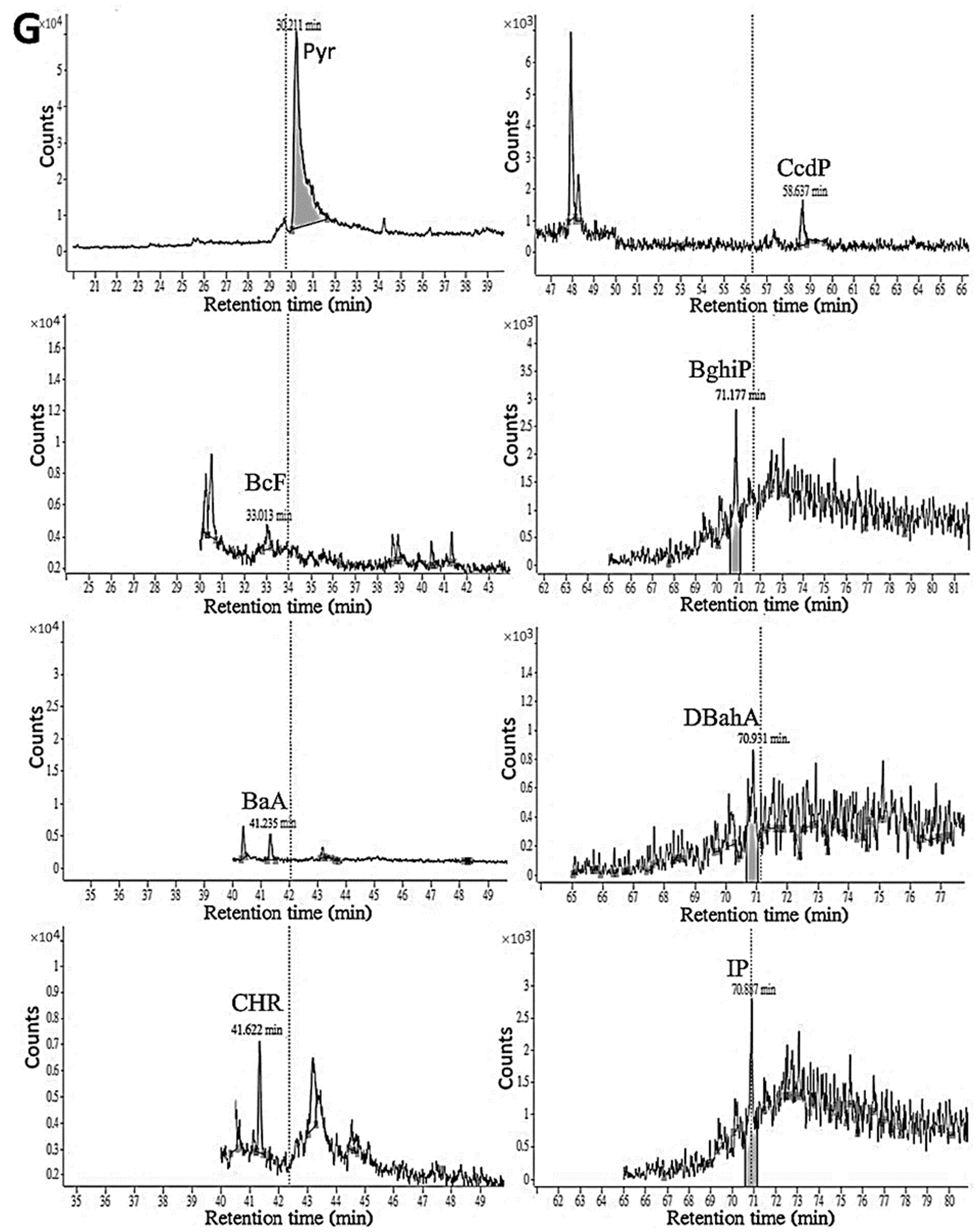 Foods 12 03504 g003f