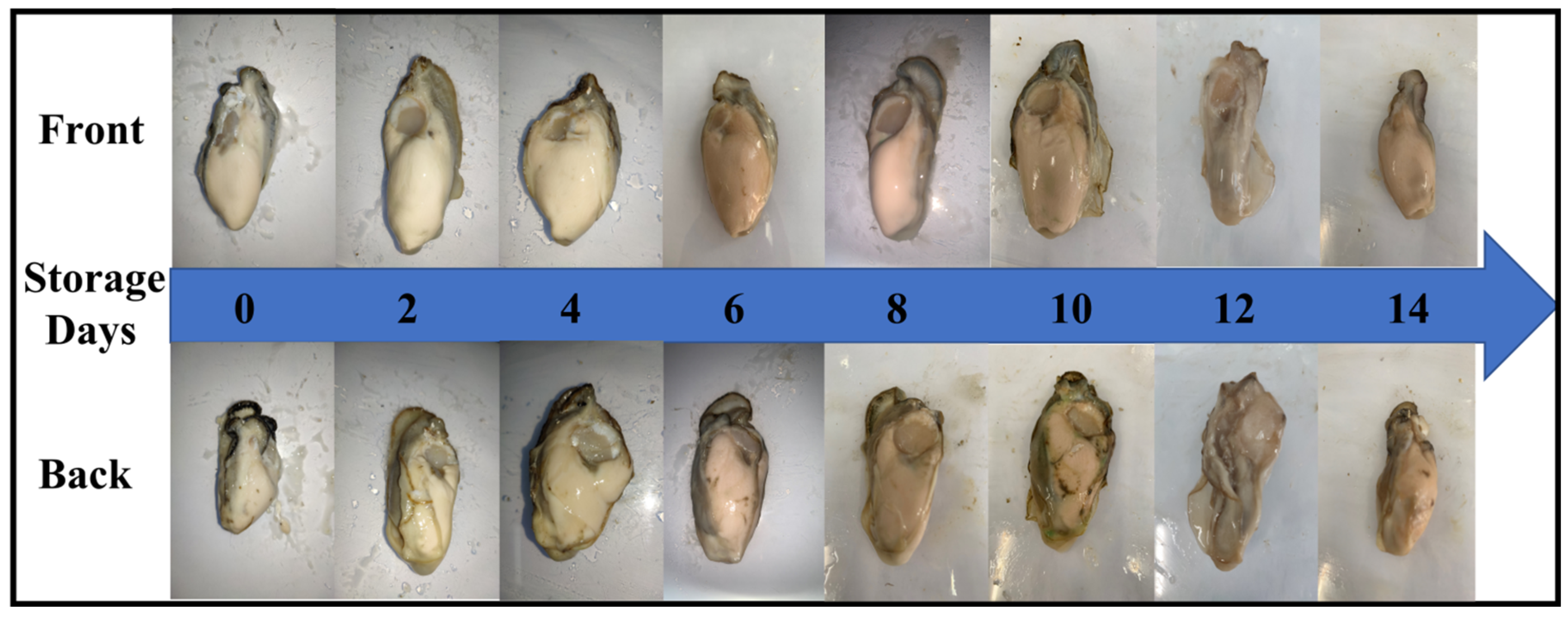 Foods 12 03616 g001 Foods 12 03616 g001