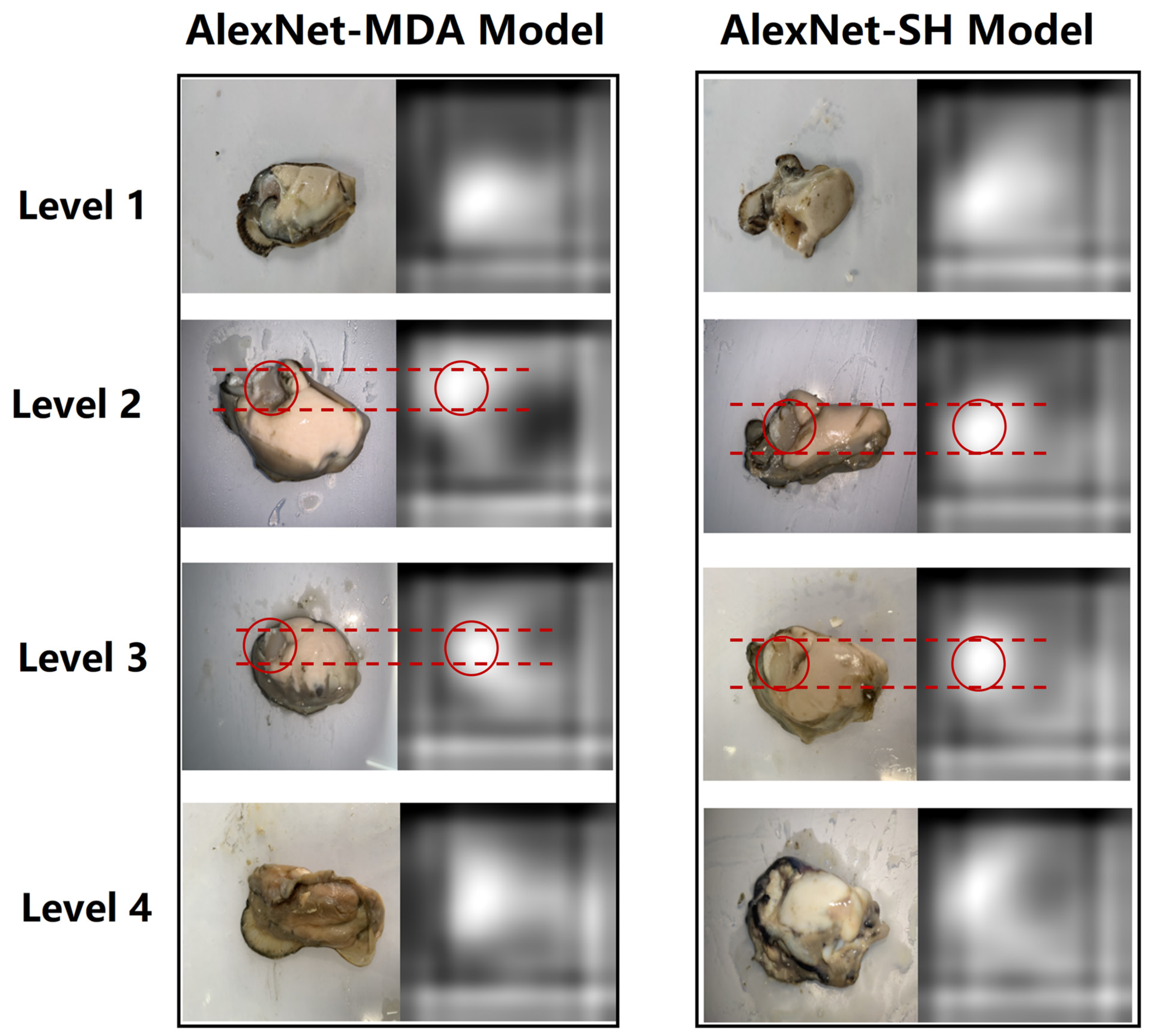 Foods 12 03616 g006 Foods 12 03616 g006