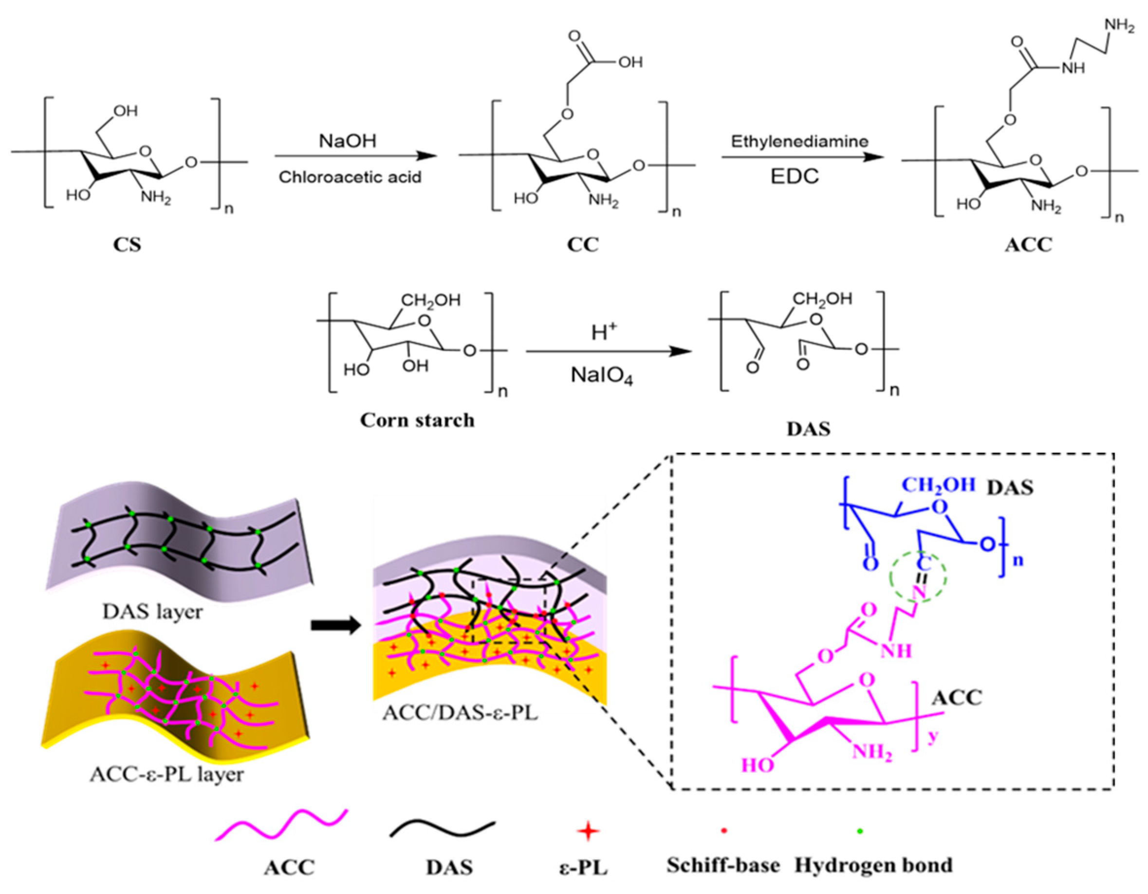 Foods 12 03807 sch001
