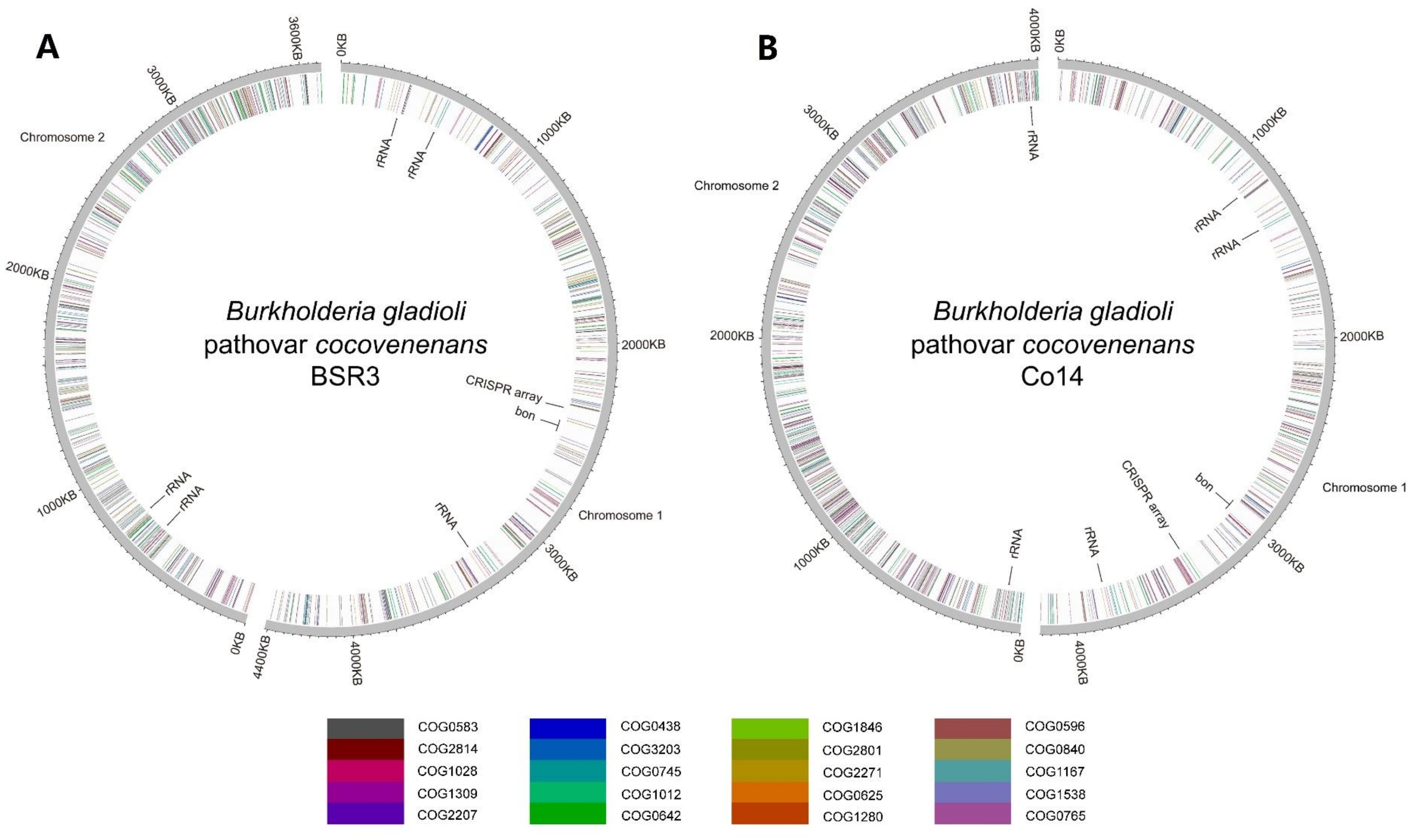 Foods 12 03926 g004 Foods 12 03926 g004