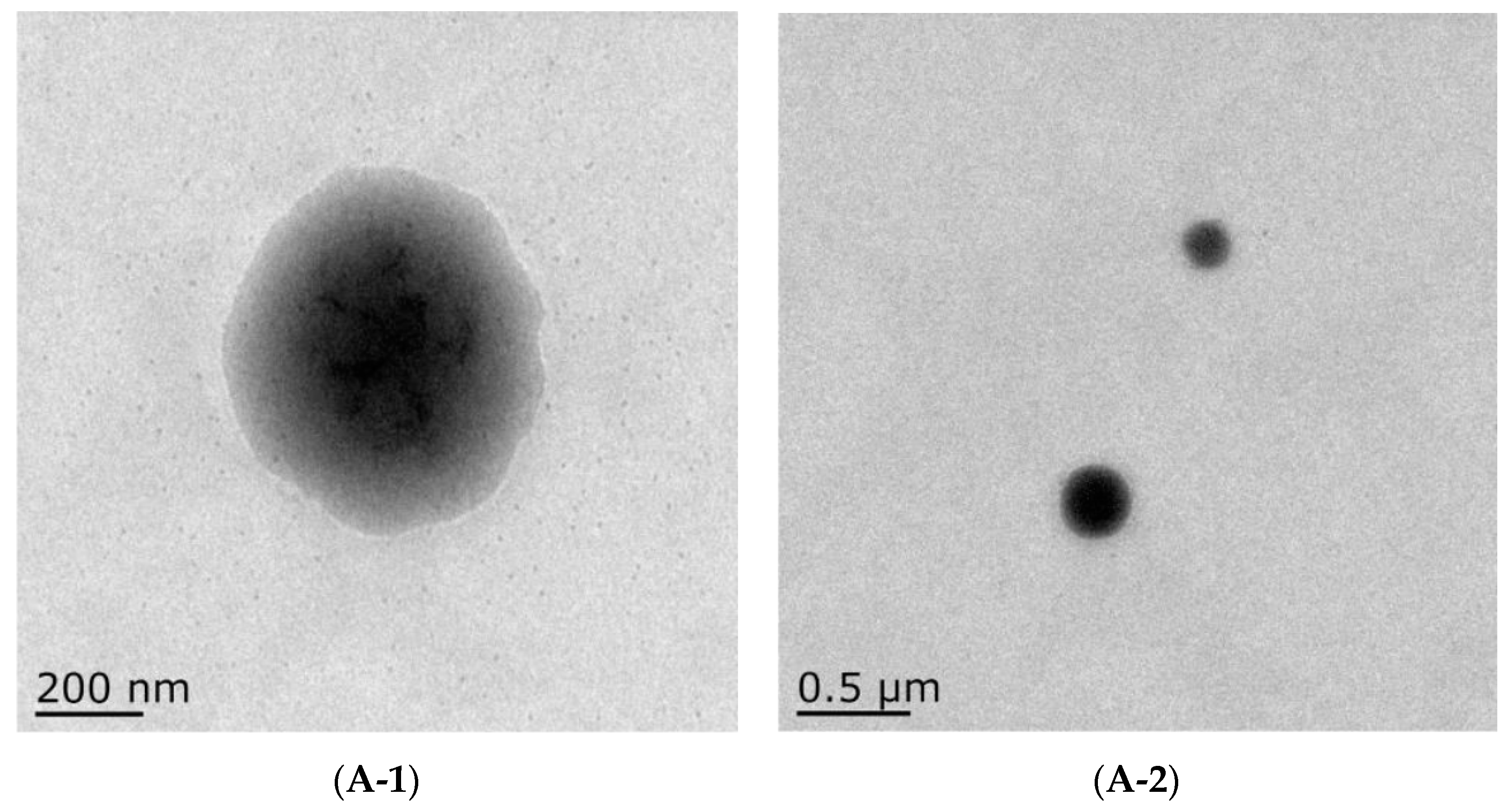 Foods 12 03946 g004a