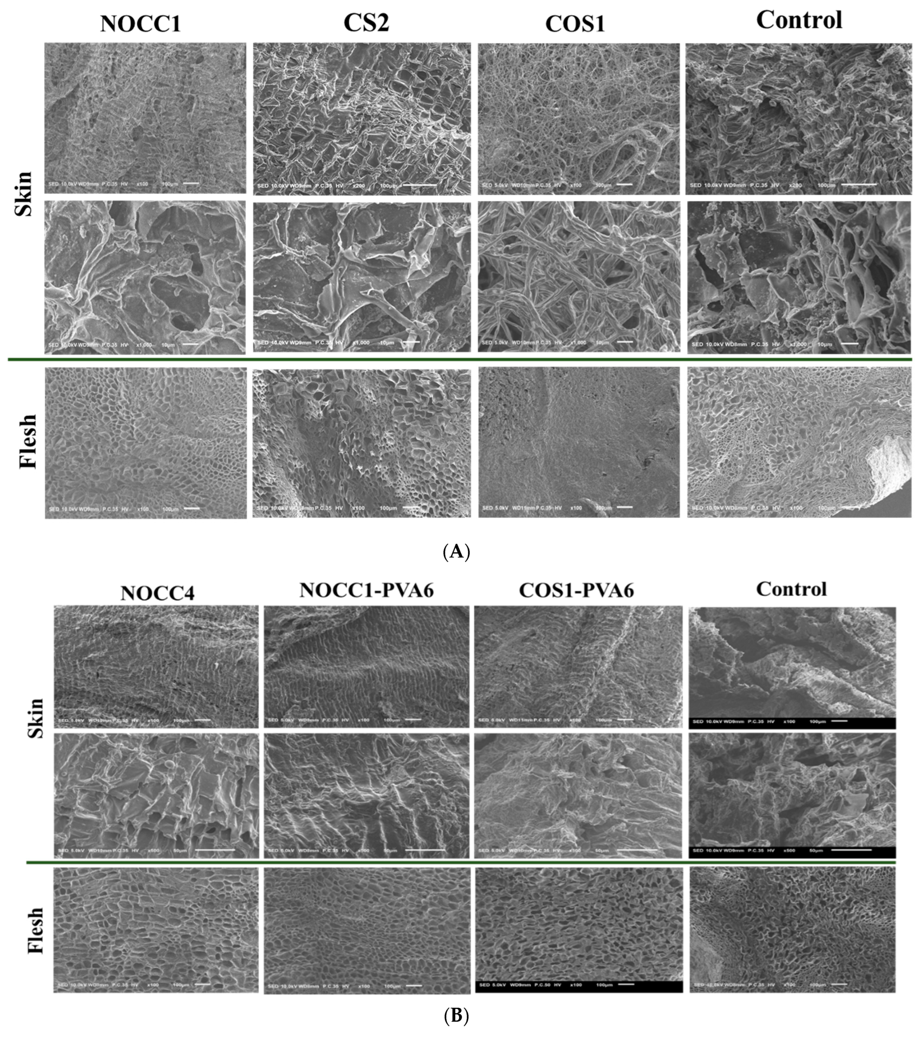 Foods 12 04012 g005a