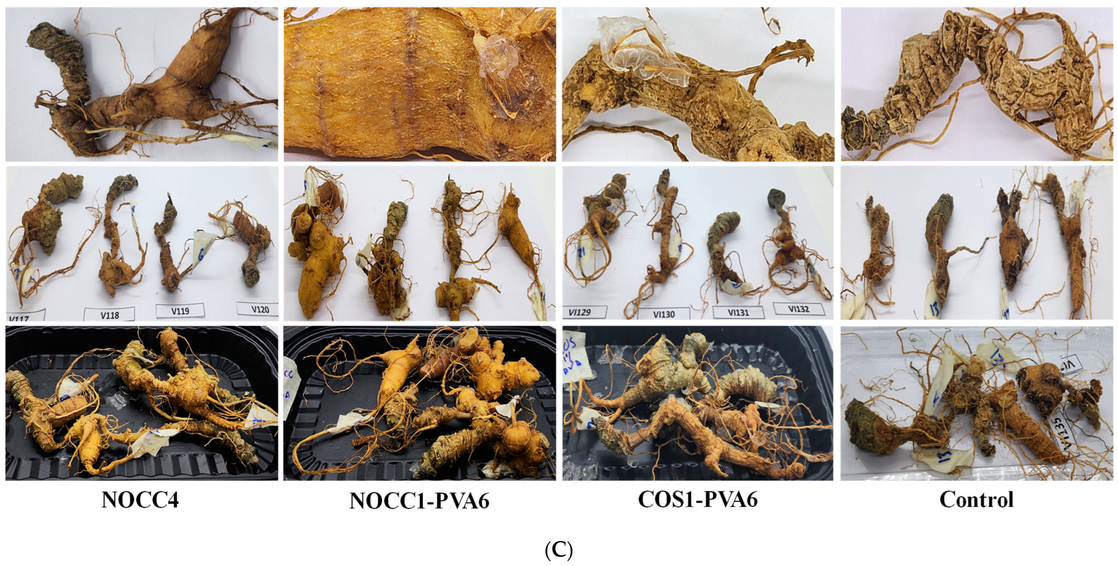 Foods 12 04012 g005b