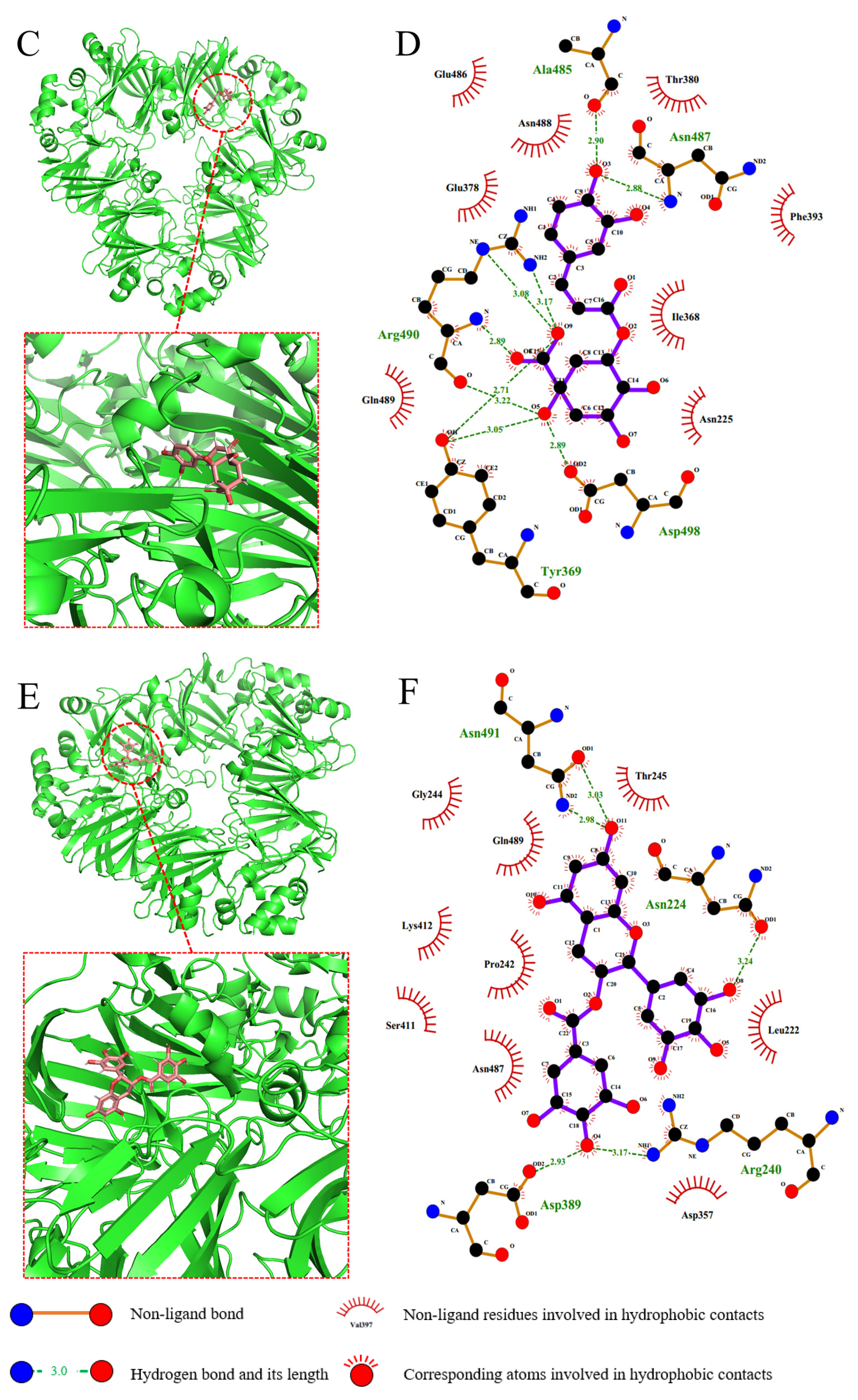 Foods 12 04013 g008b