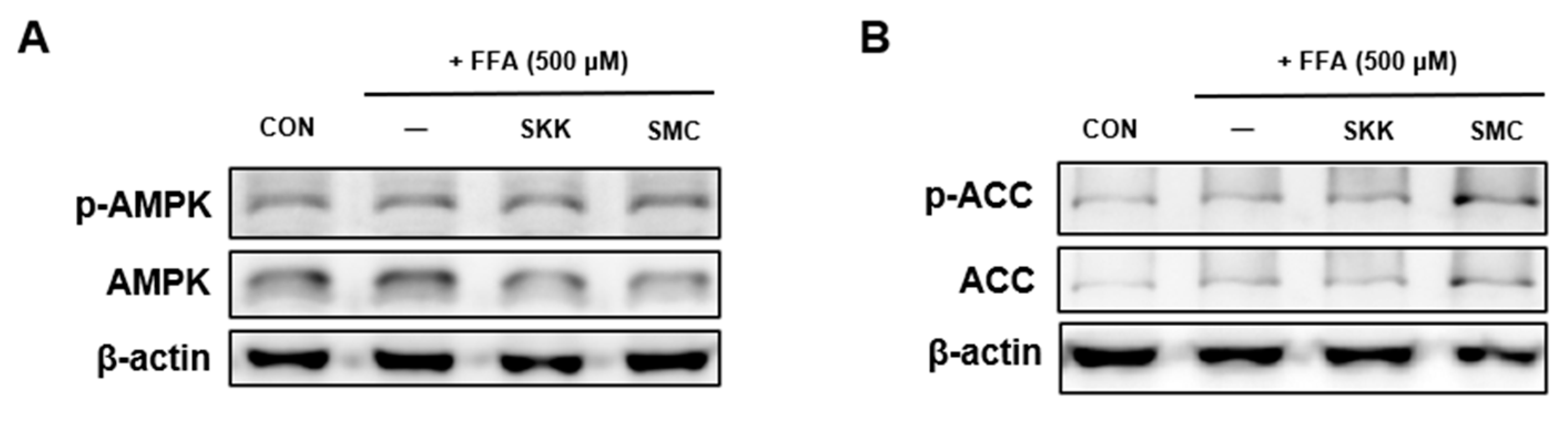 Foods 12 04016 g005a