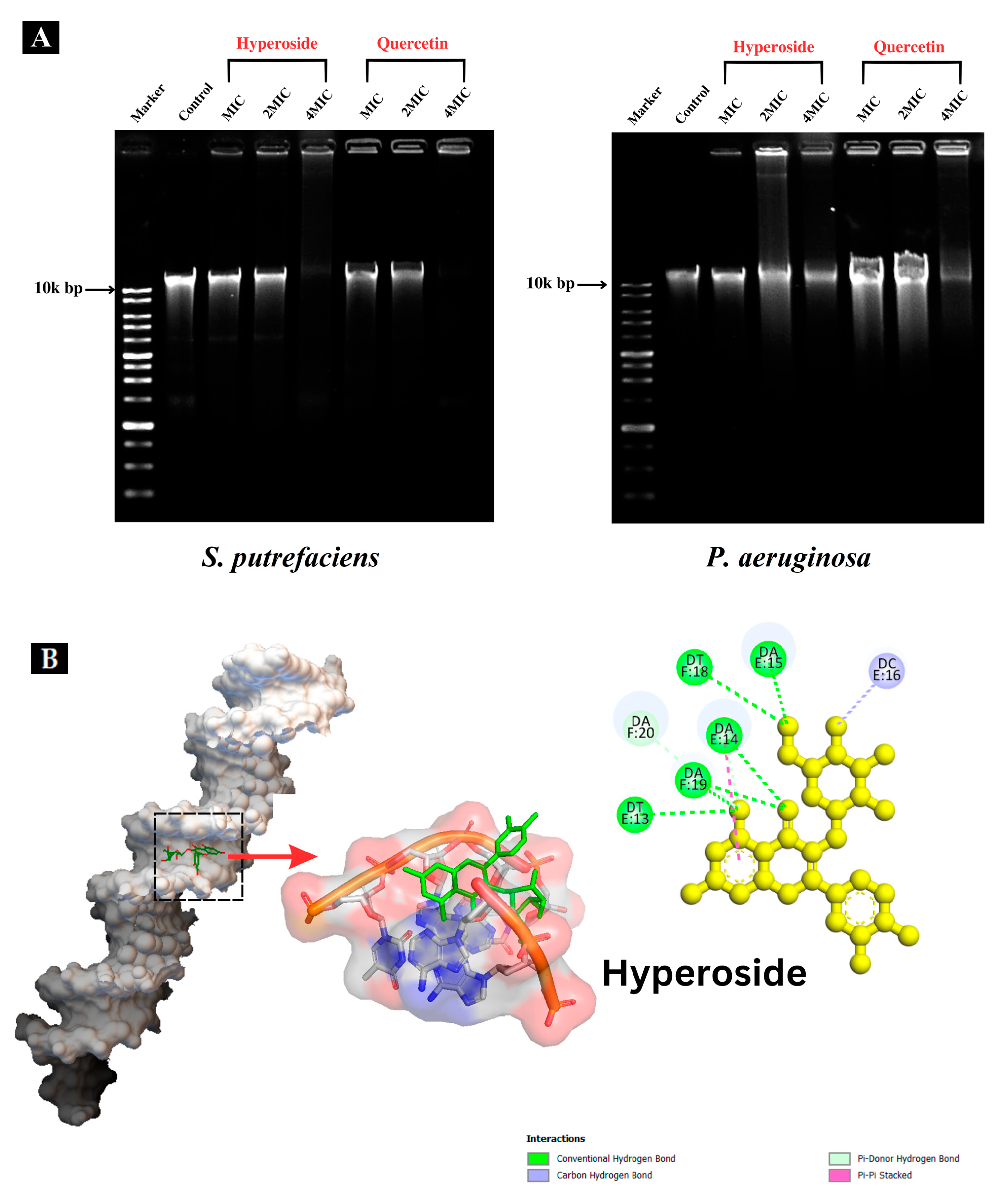 Foods 12 04051 g006a