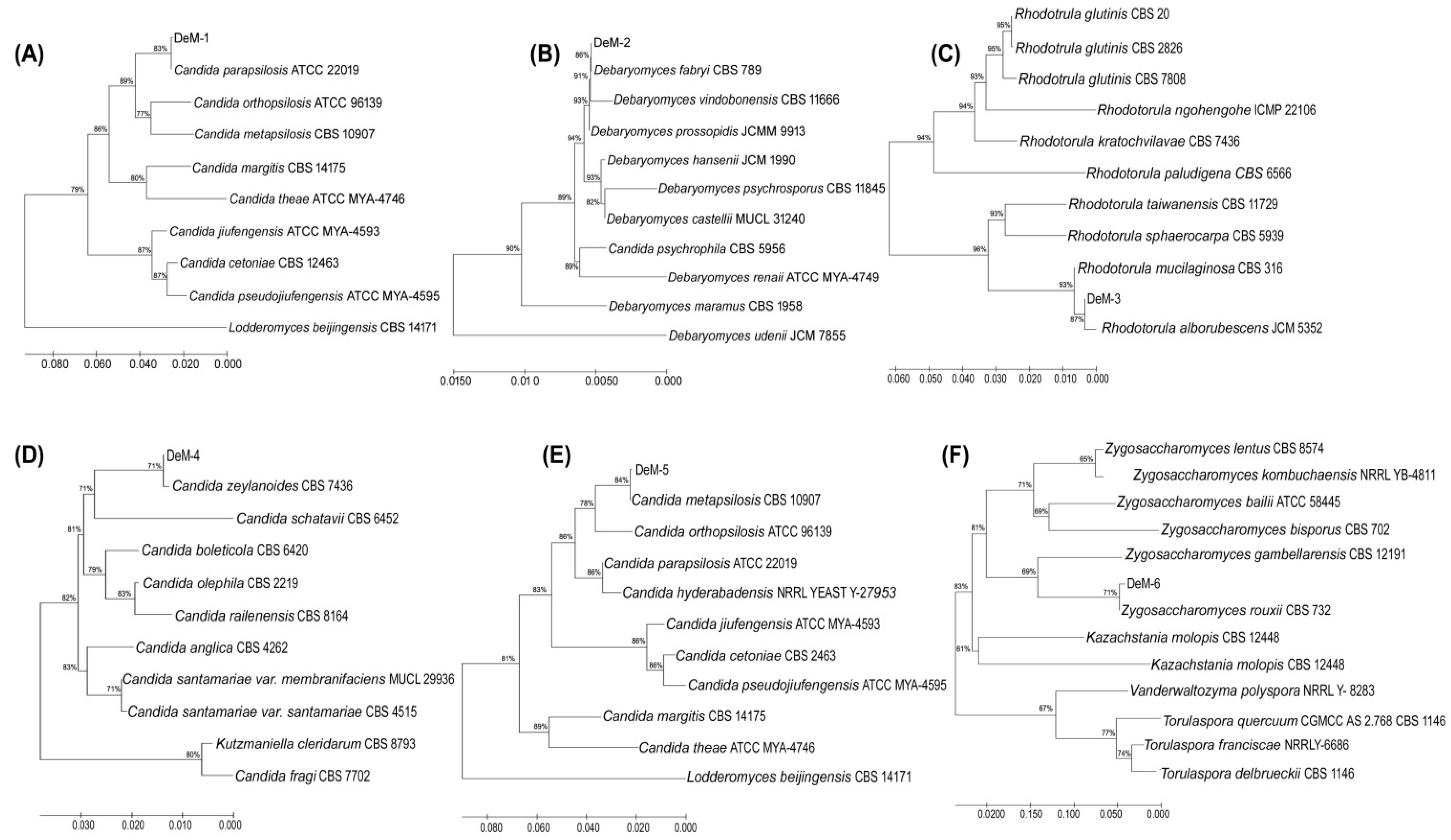 Foods 12 04084 g001 Foods 12 04084 g001