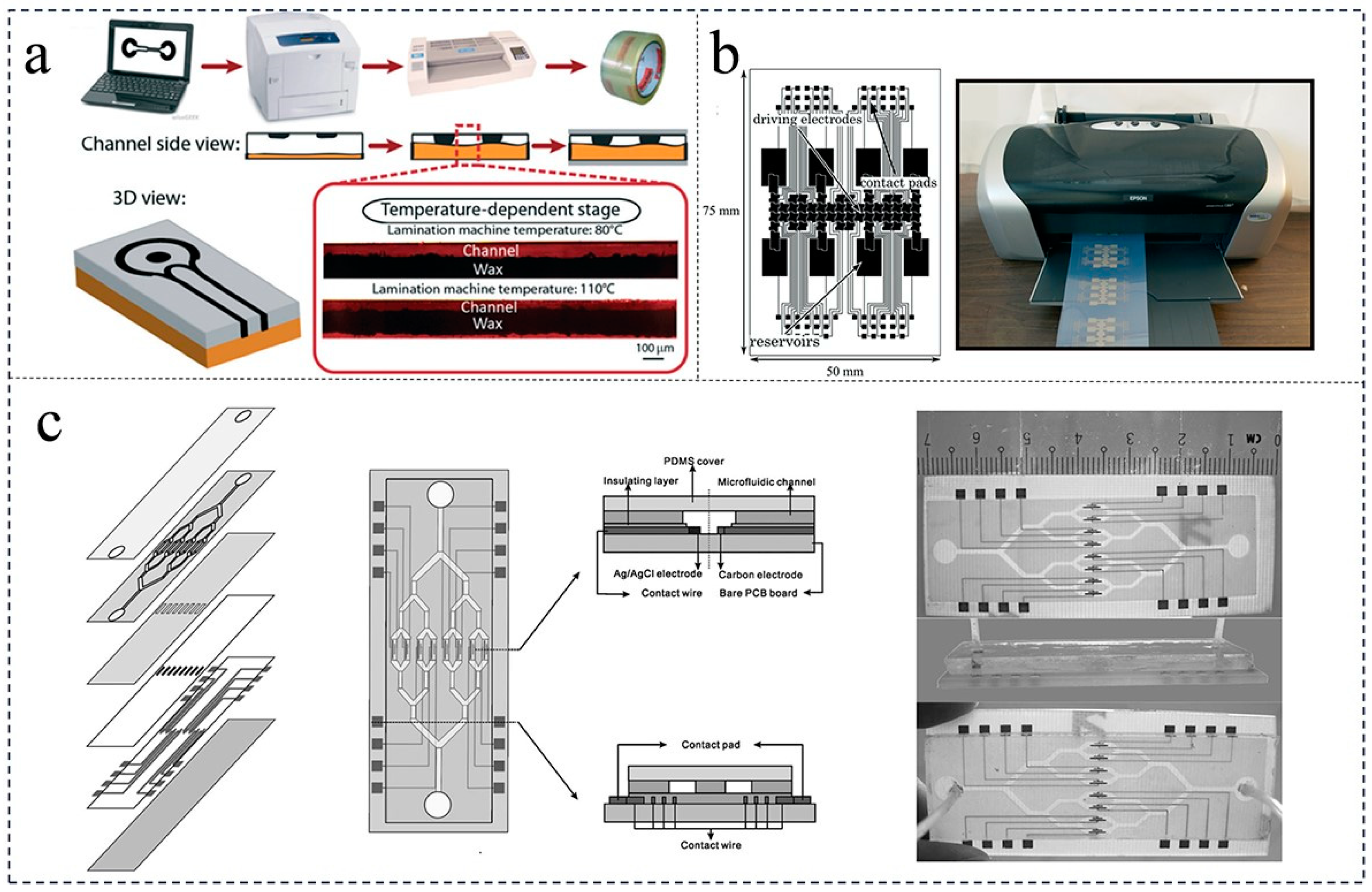 Foods 12 04107 g001 Foods 12 04107 g001