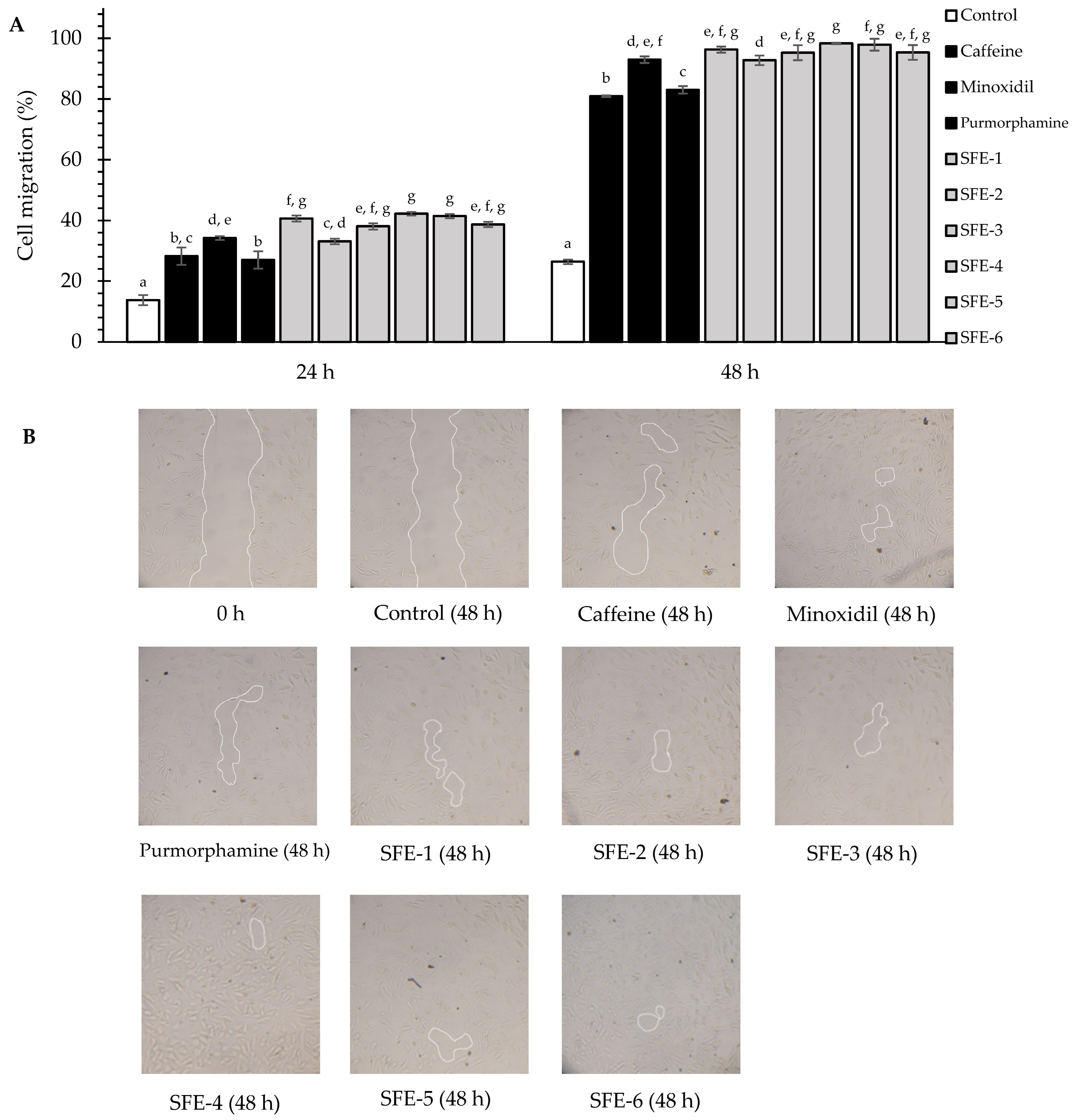 Foods 12 04116 g001 Foods 12 04116 g001