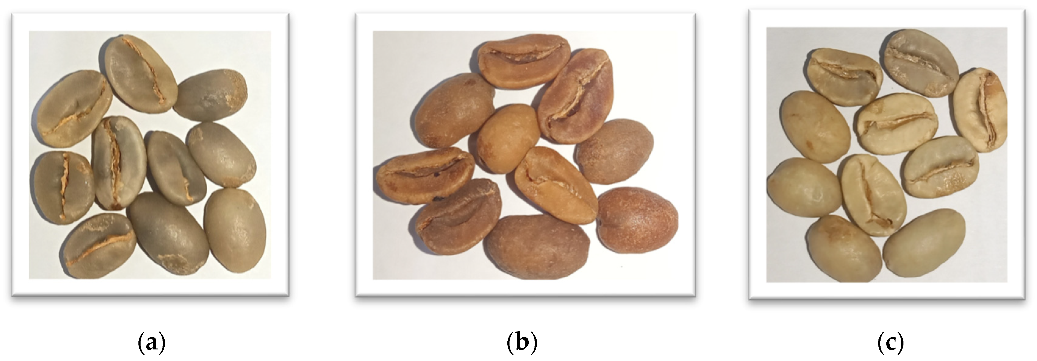 Foods 12 04302 g002 Foods 12 04302 g002