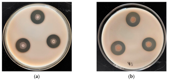 Foods 12 04336 g0a1a