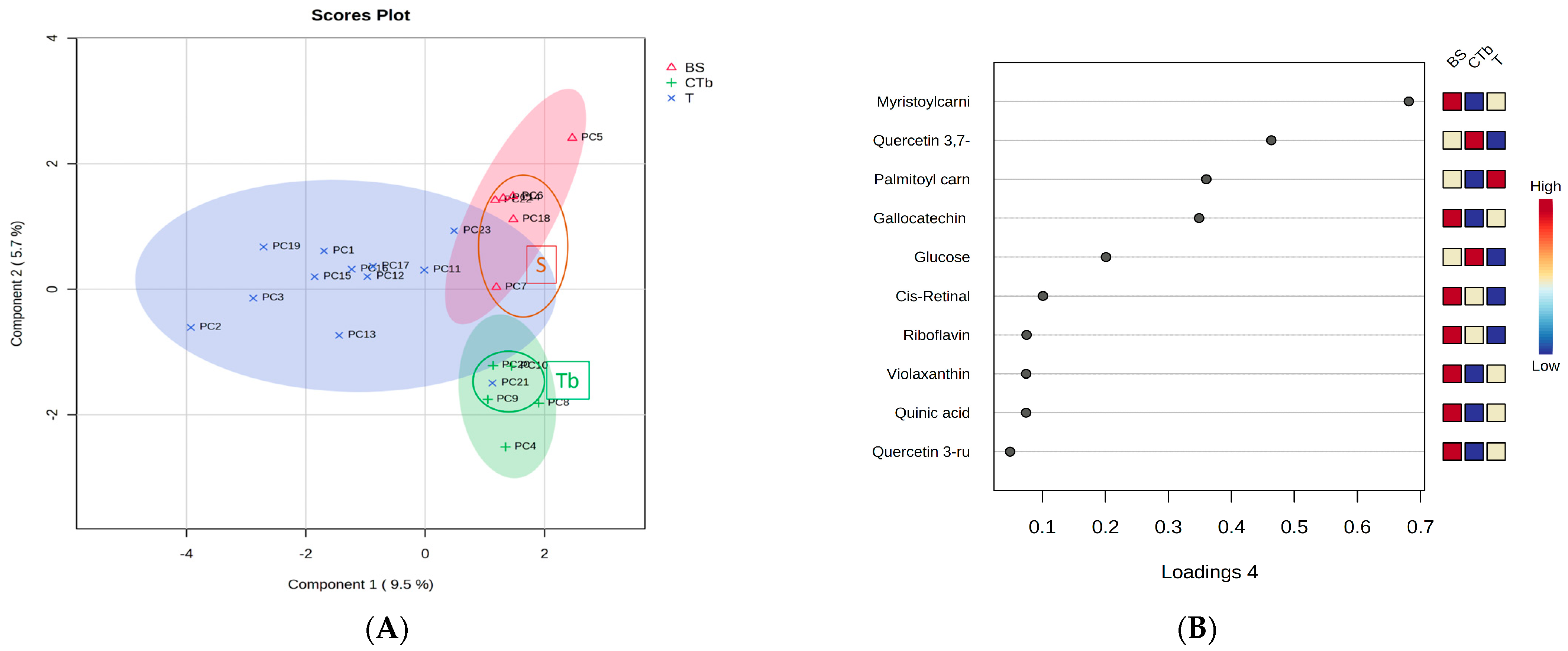 Foods 12 04493 g004 Foods 12 04493 g004