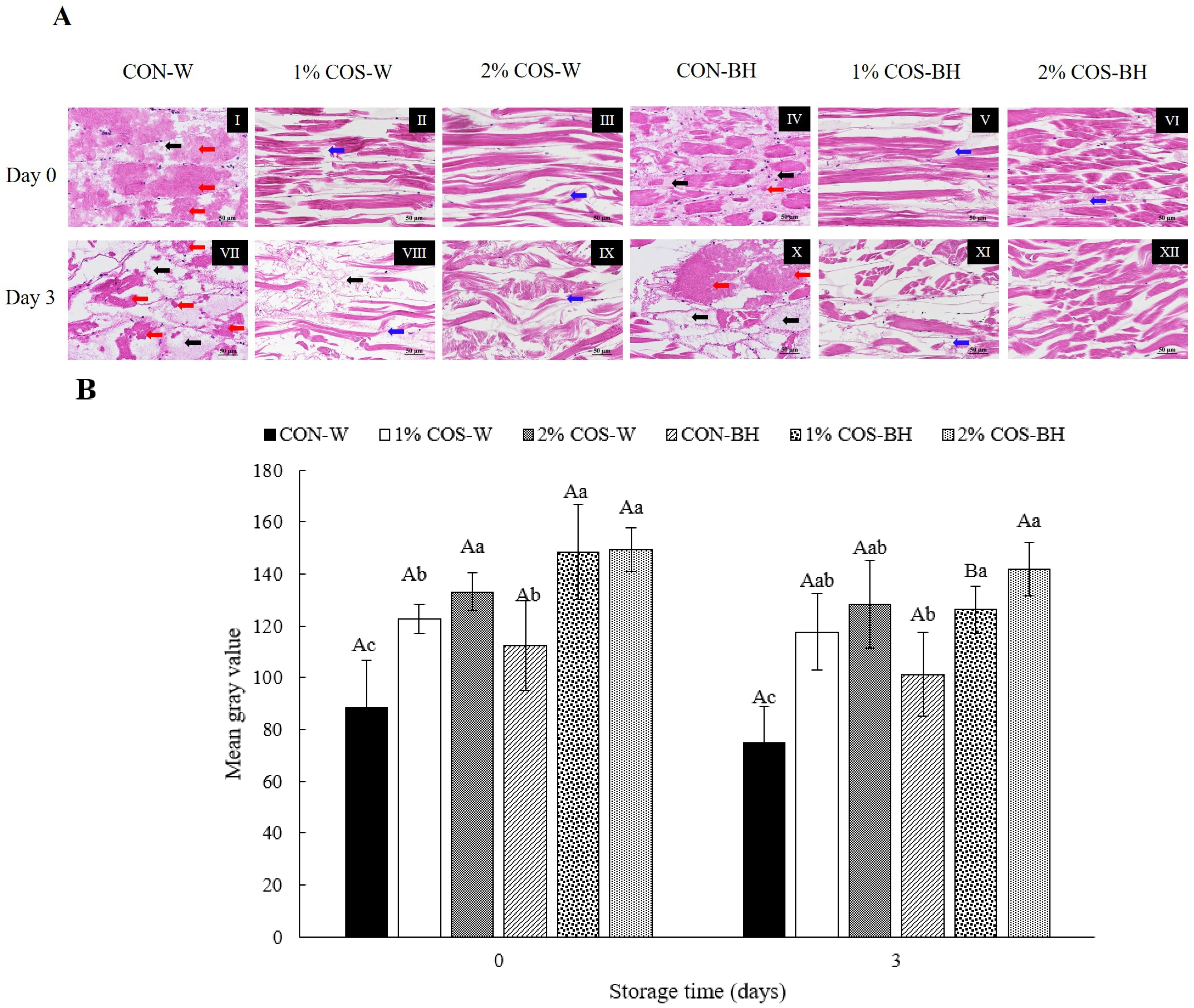Foods 13 00028 g005a