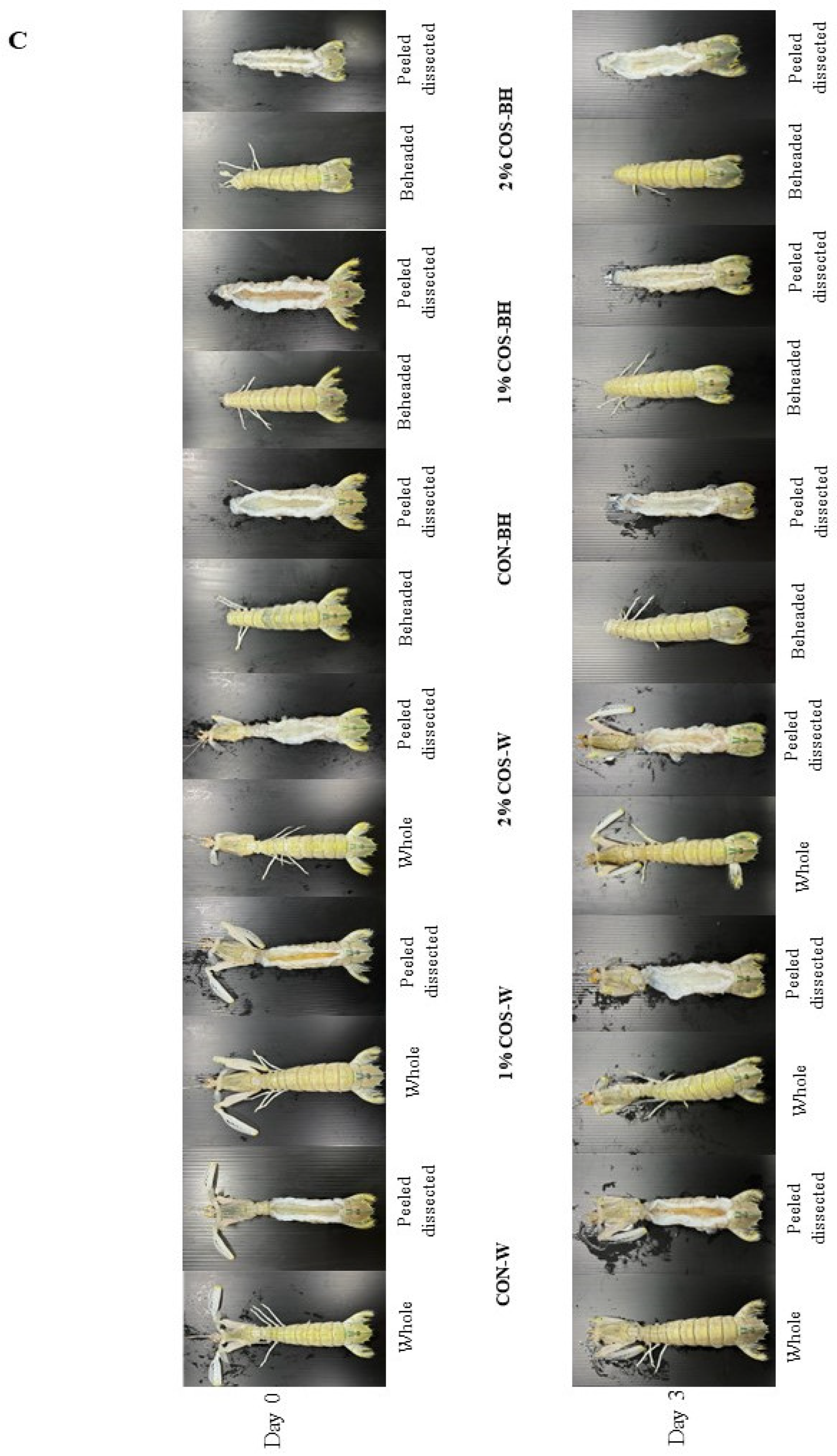 Foods 13 00028 g005b