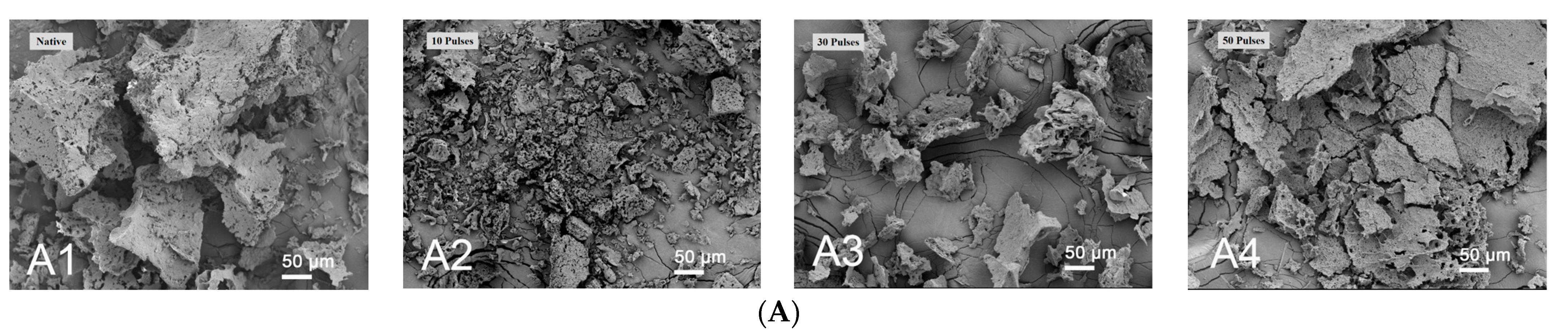 Foods 13 00148 g001a