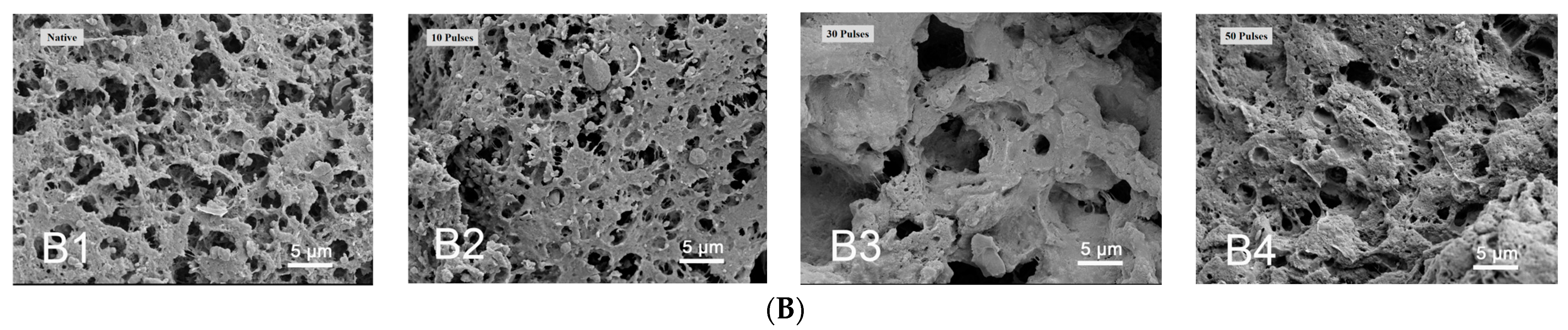 Foods 13 00148 g001b