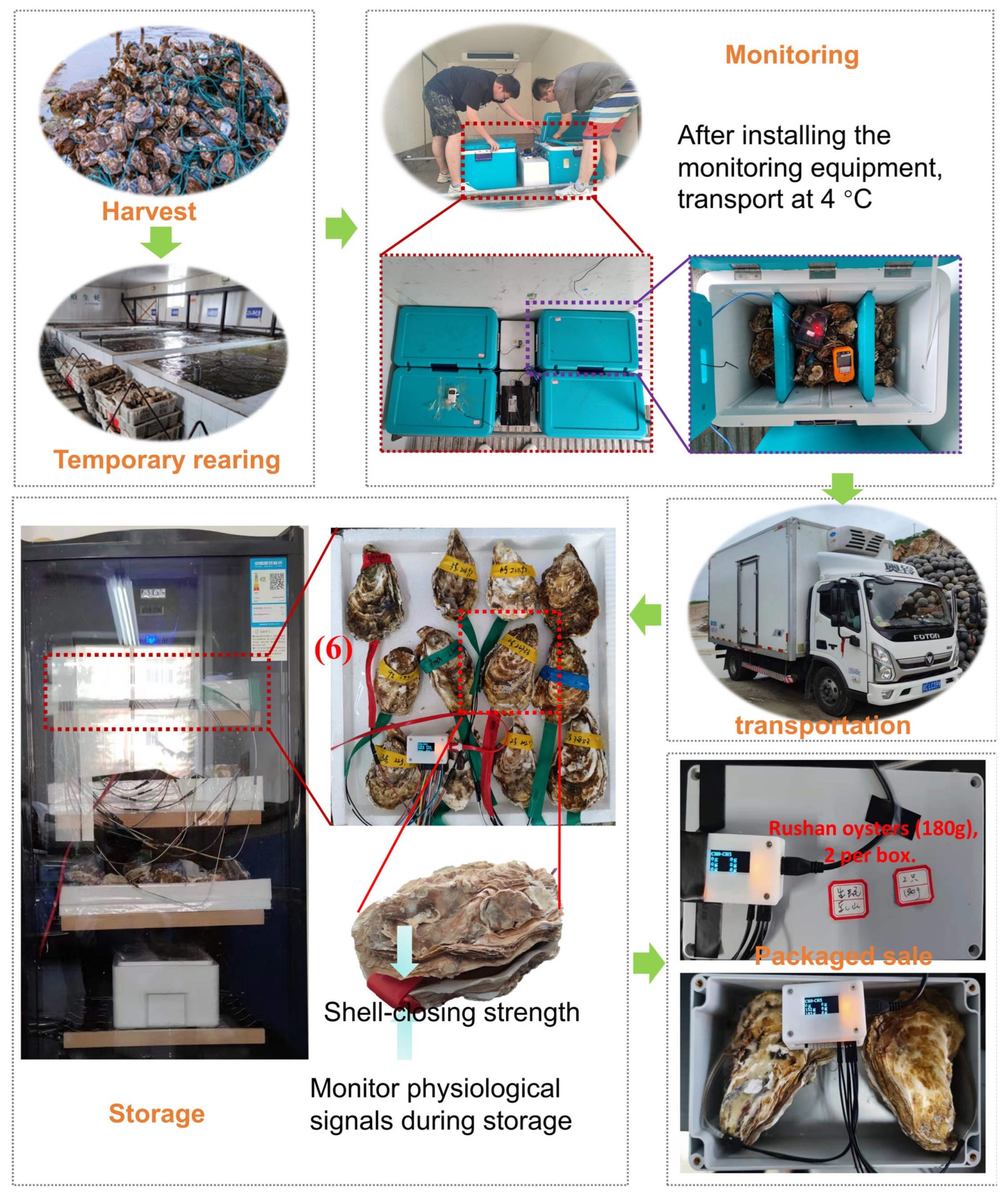 Foods 13 00167 g004 Foods 13 00167 g004