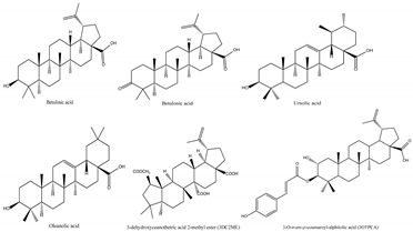 Foods 13 00193 i002 Foods 13 00193 i002
