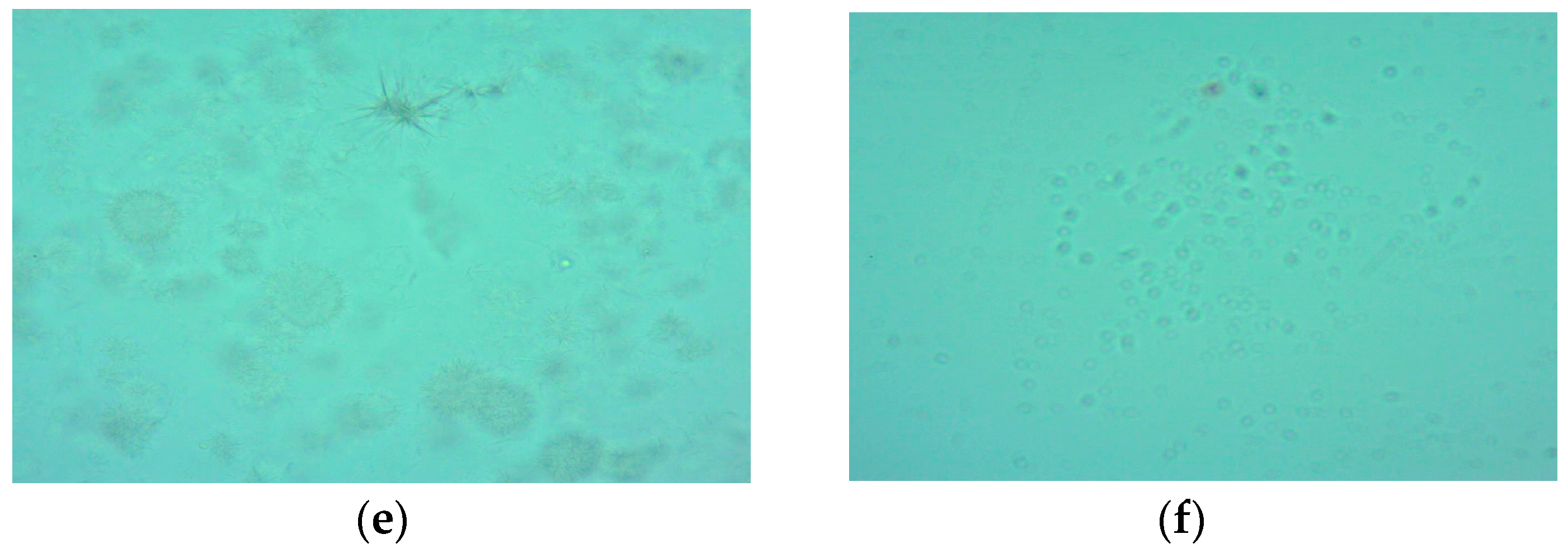 Foods 13 00304 g001b