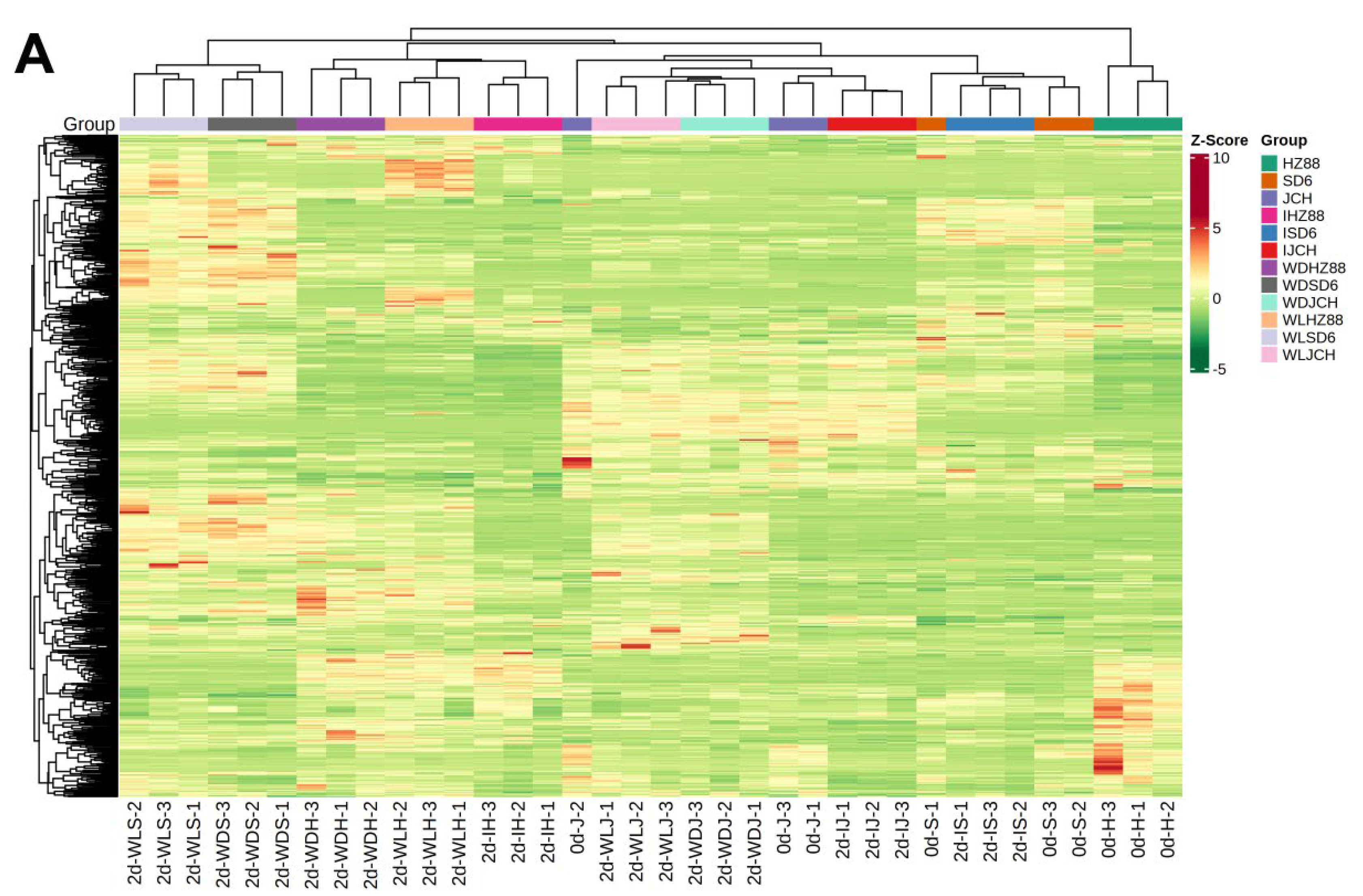 Foods 13 00308 g002a