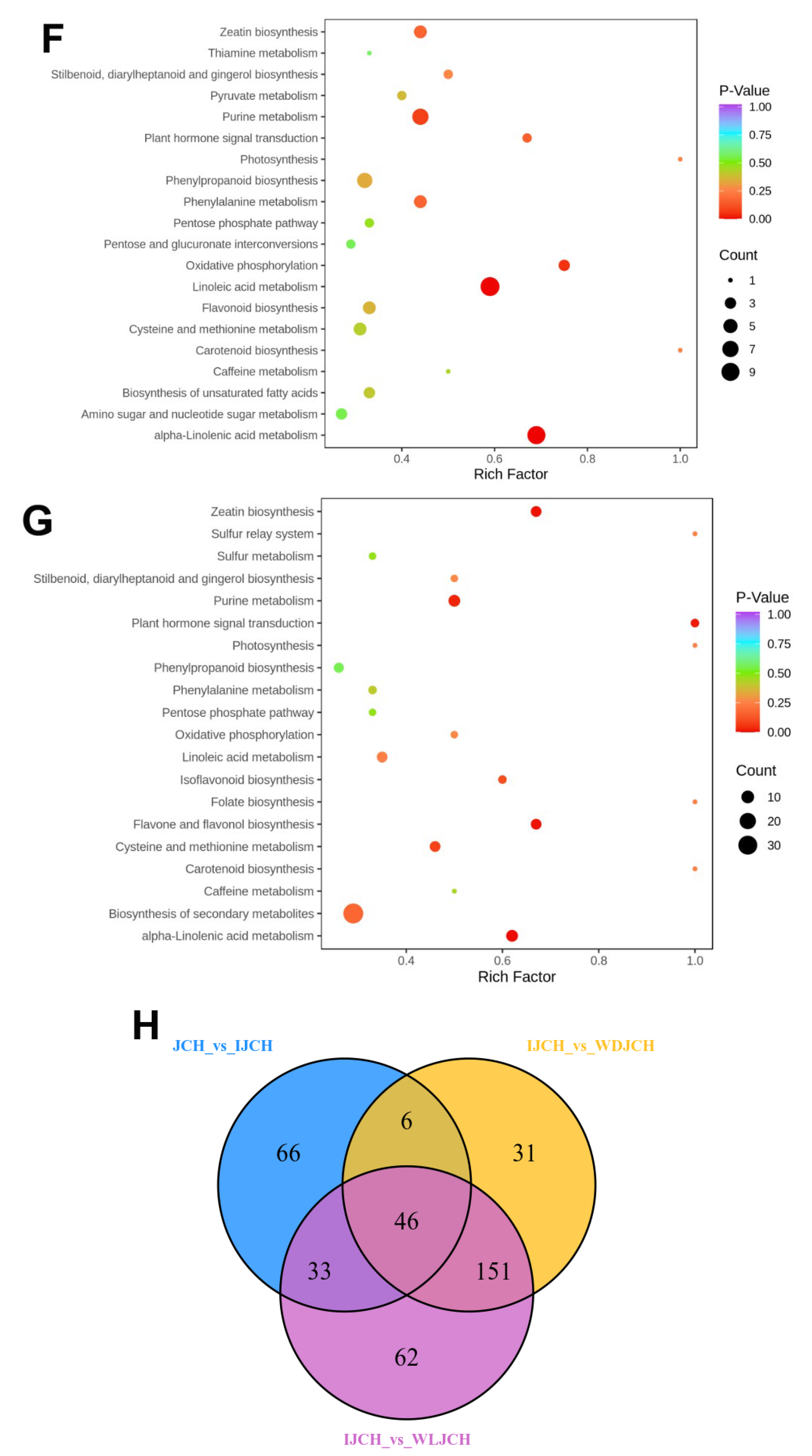Foods 13 00308 g005c