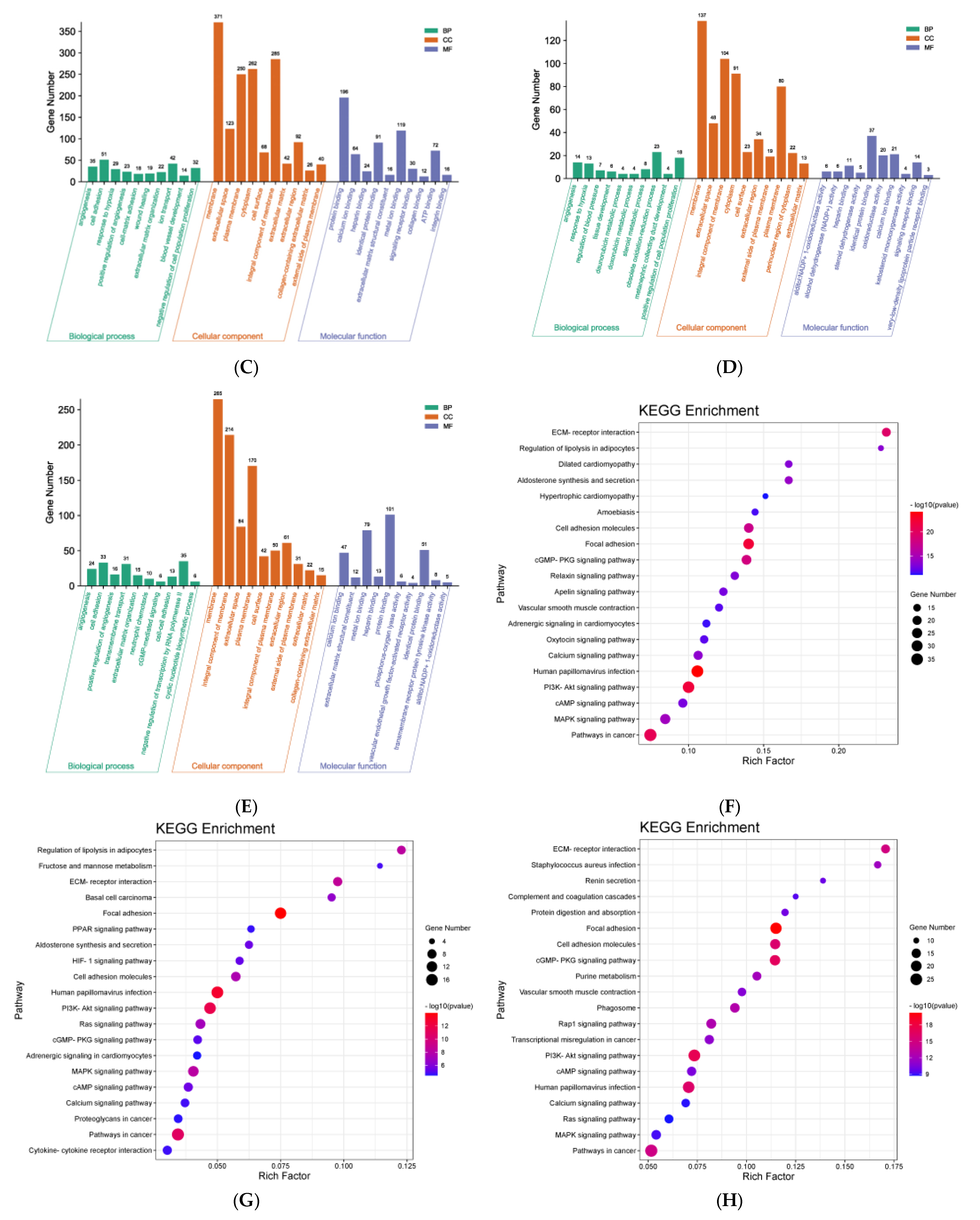 Foods 13 00344 g004b