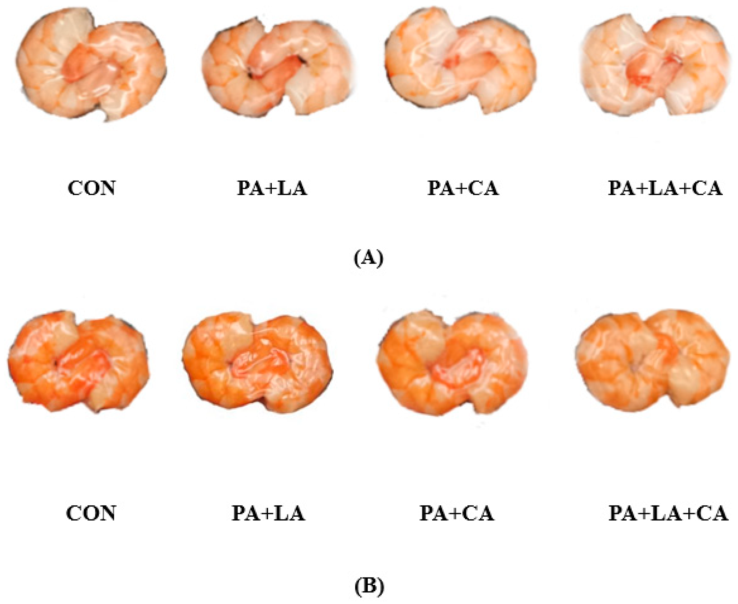 Foods 13 00388 g001a Foods 13 00388 g001a