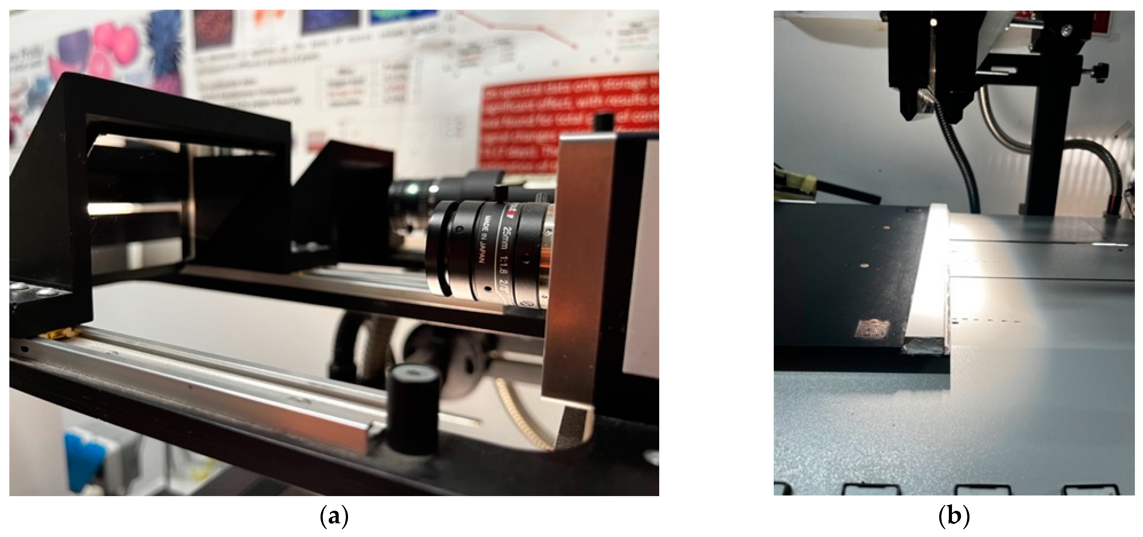 Foods 13 00404 g002a