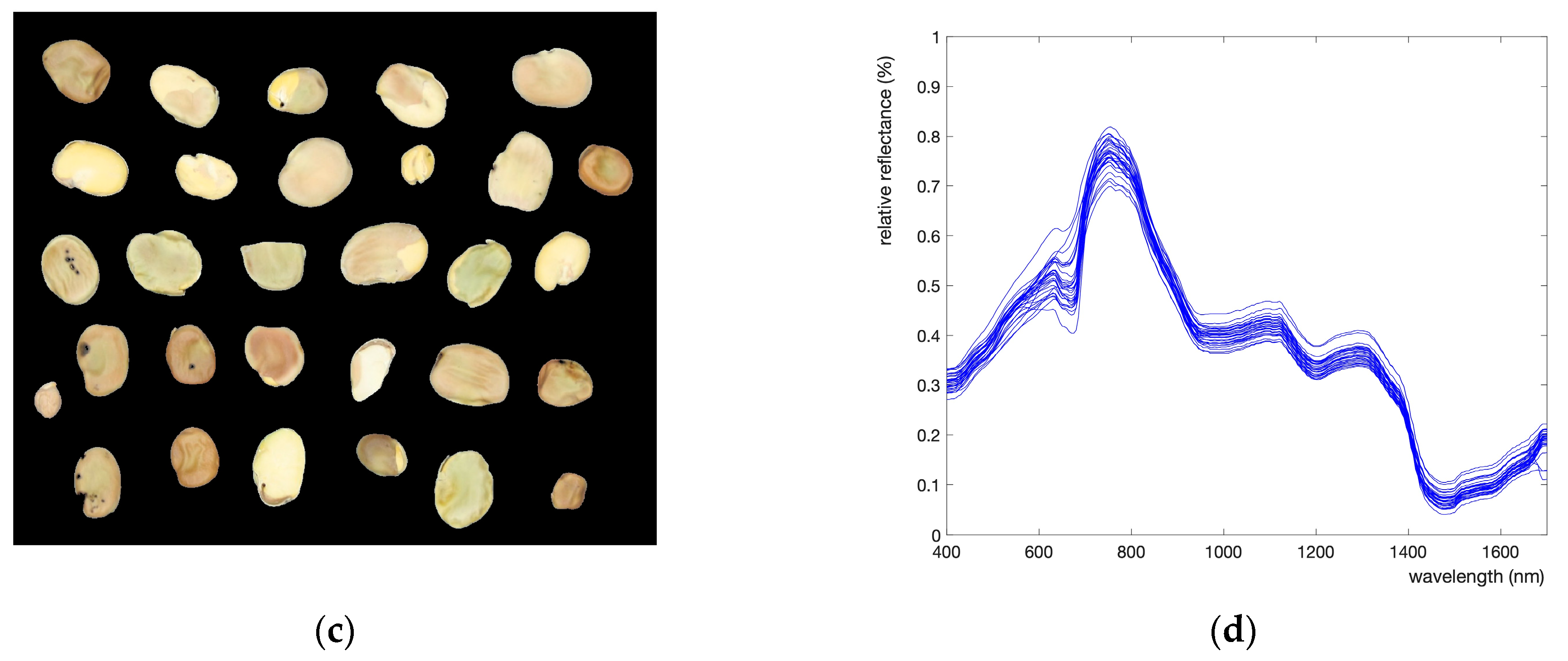 Foods 13 00404 g002b