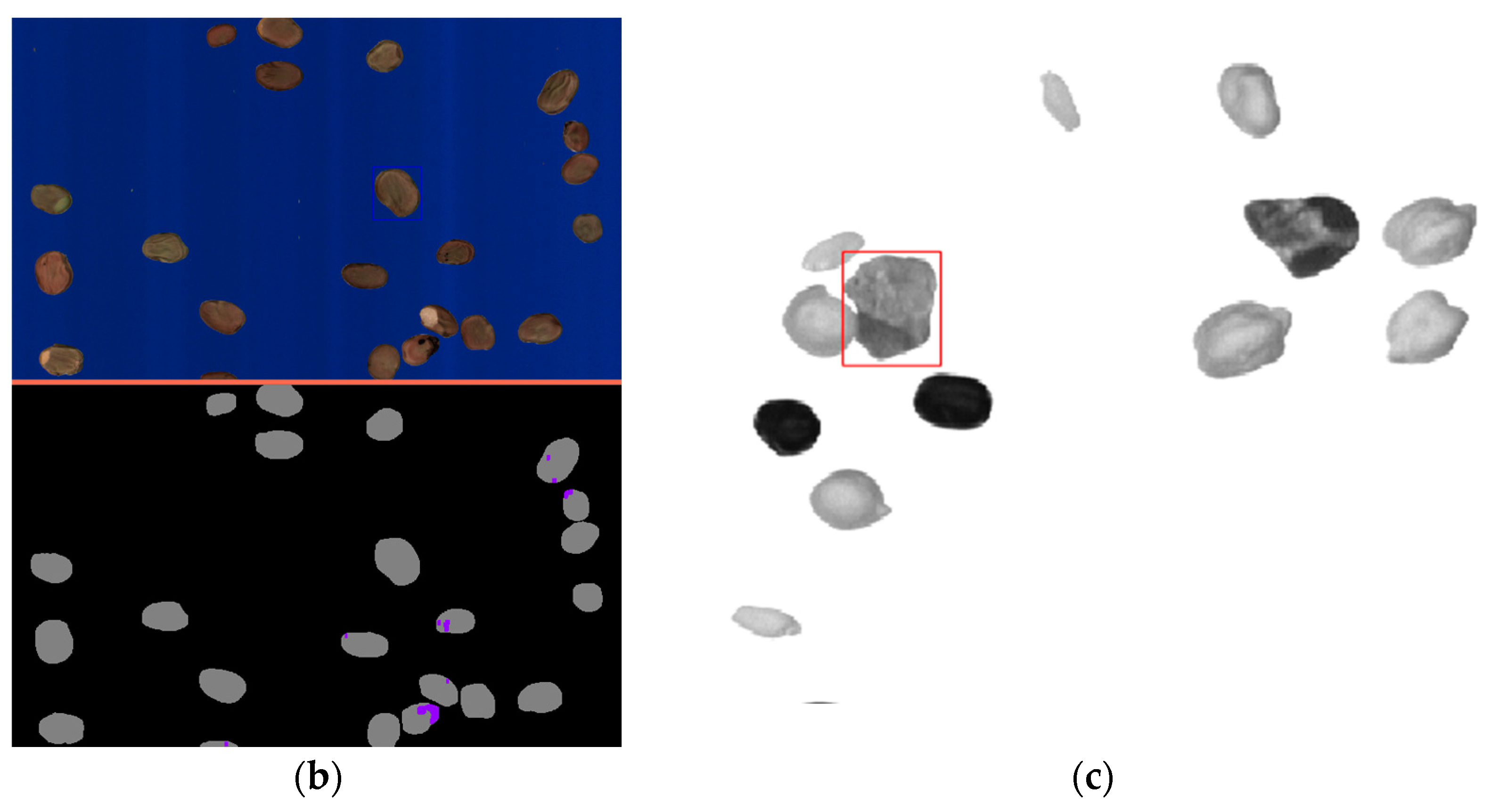 Foods 13 00404 g004b