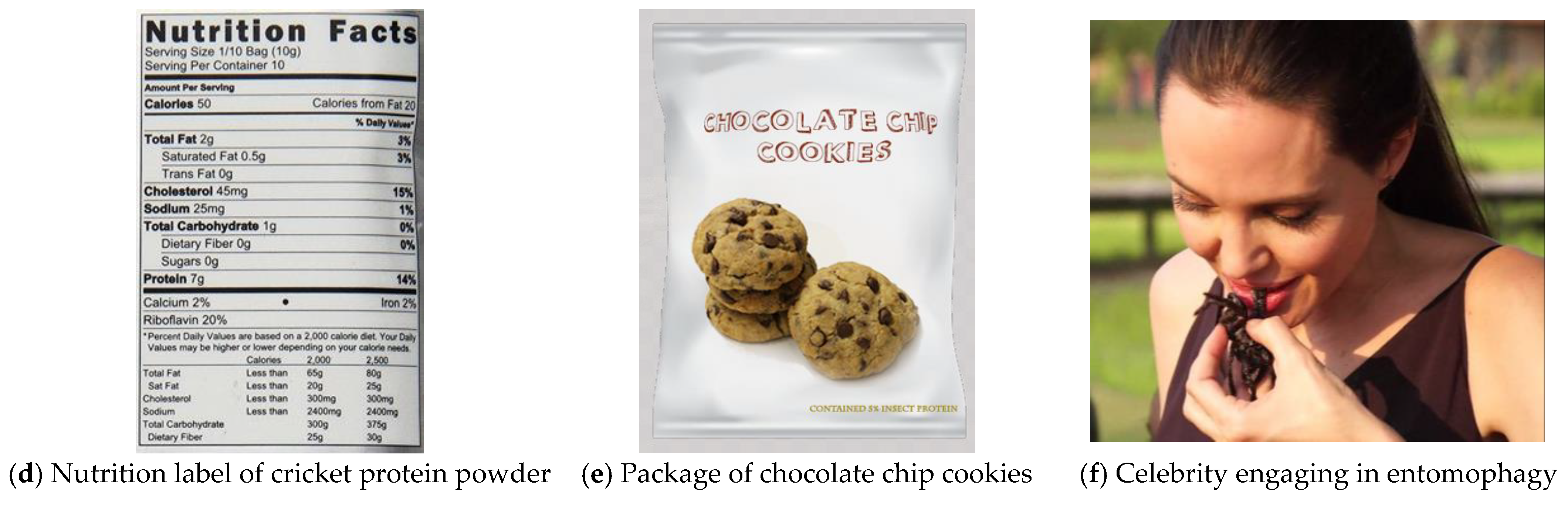 Foods 13 00479 g001b