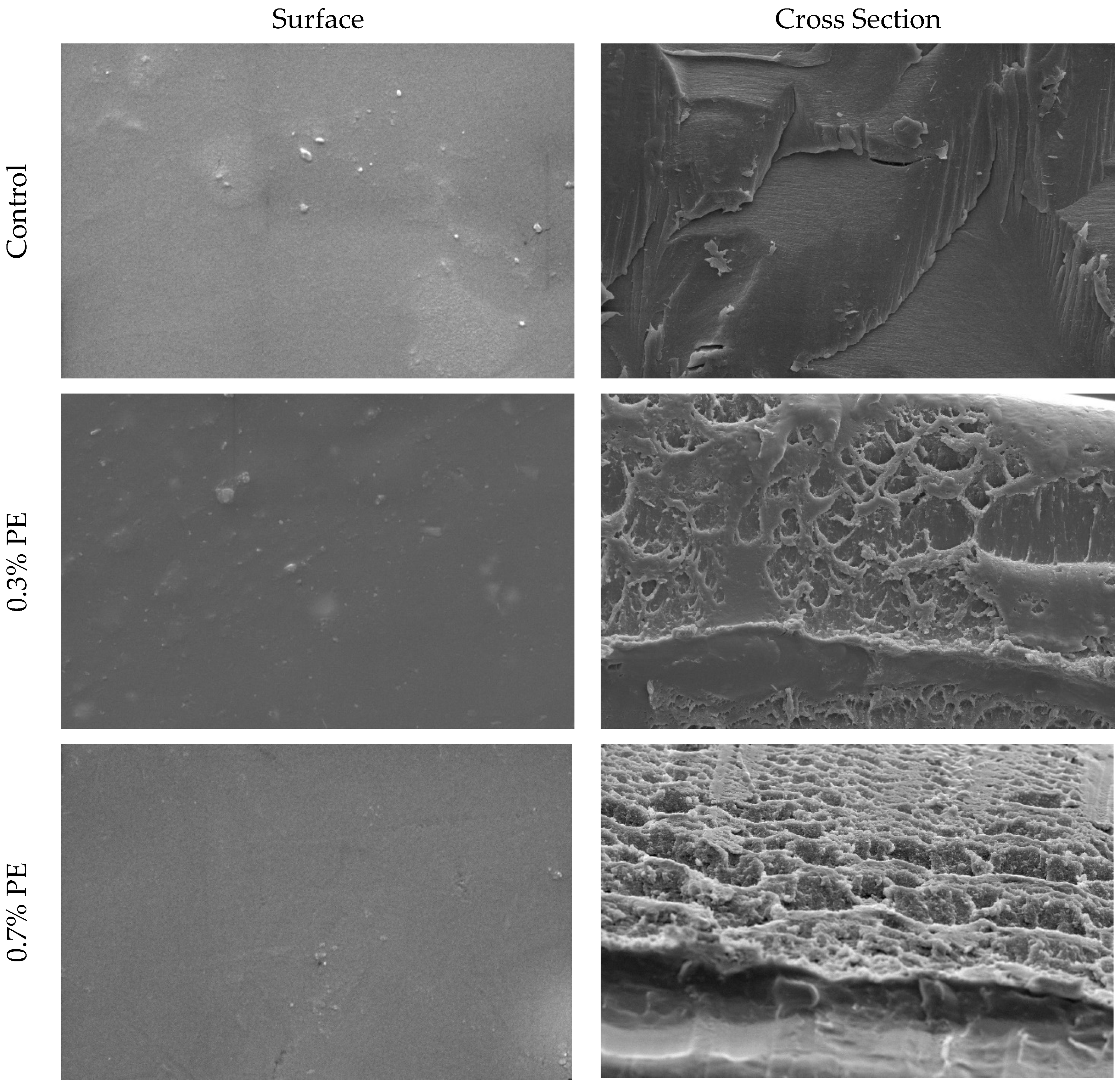 Foods 13 00538 g001 Foods 13 00538 g001