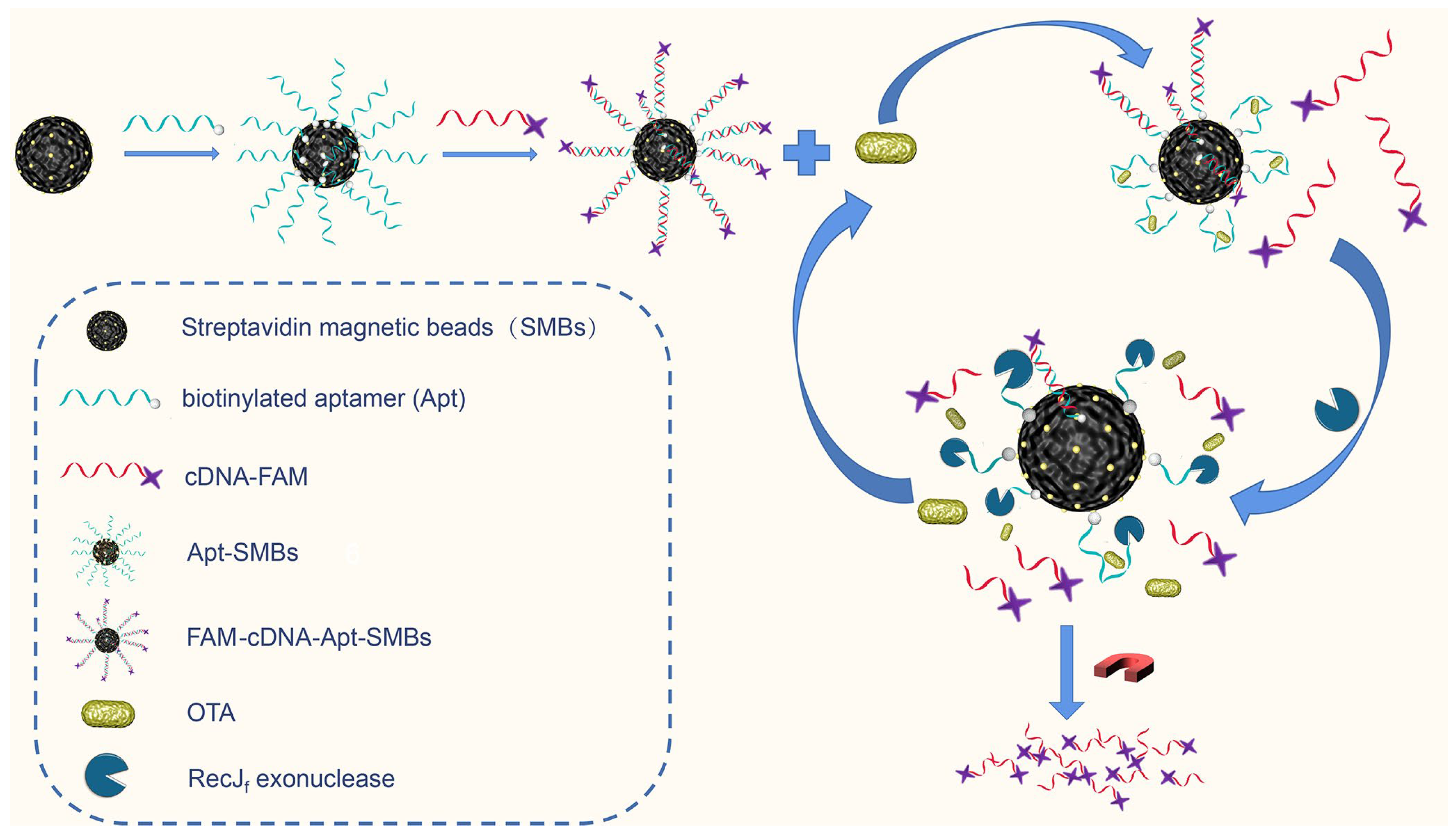 Foods 13 00595 sch001