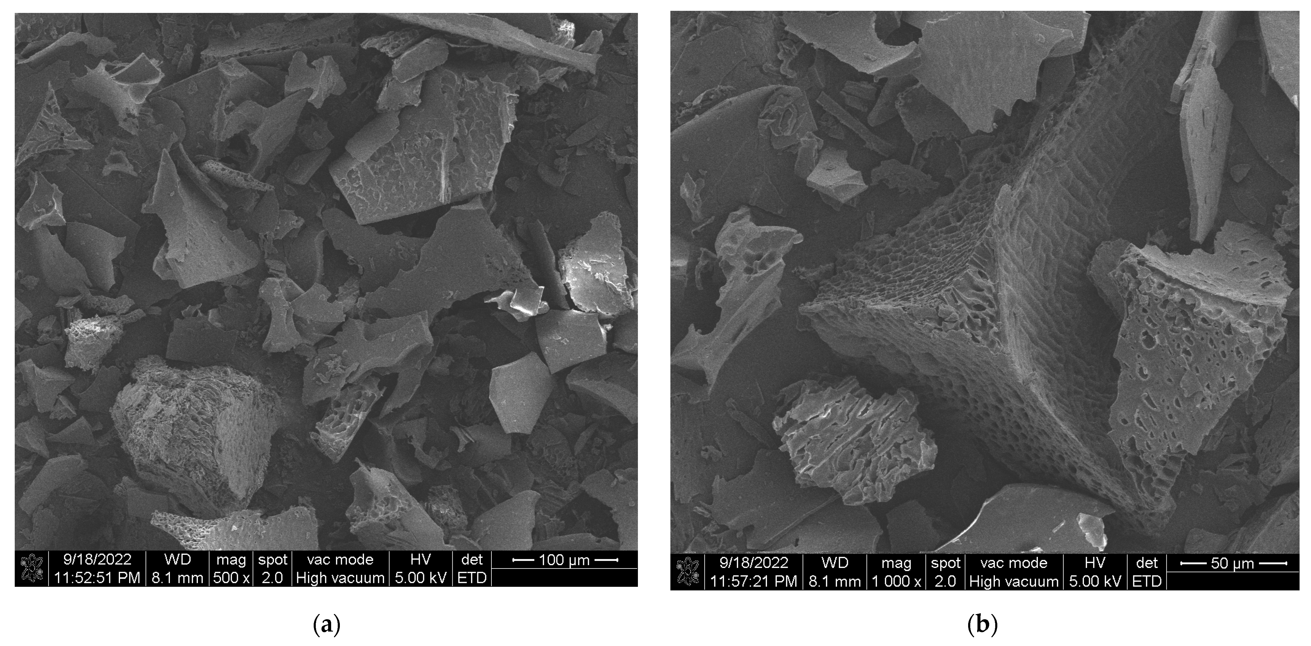 Foods 13 00618 g004a