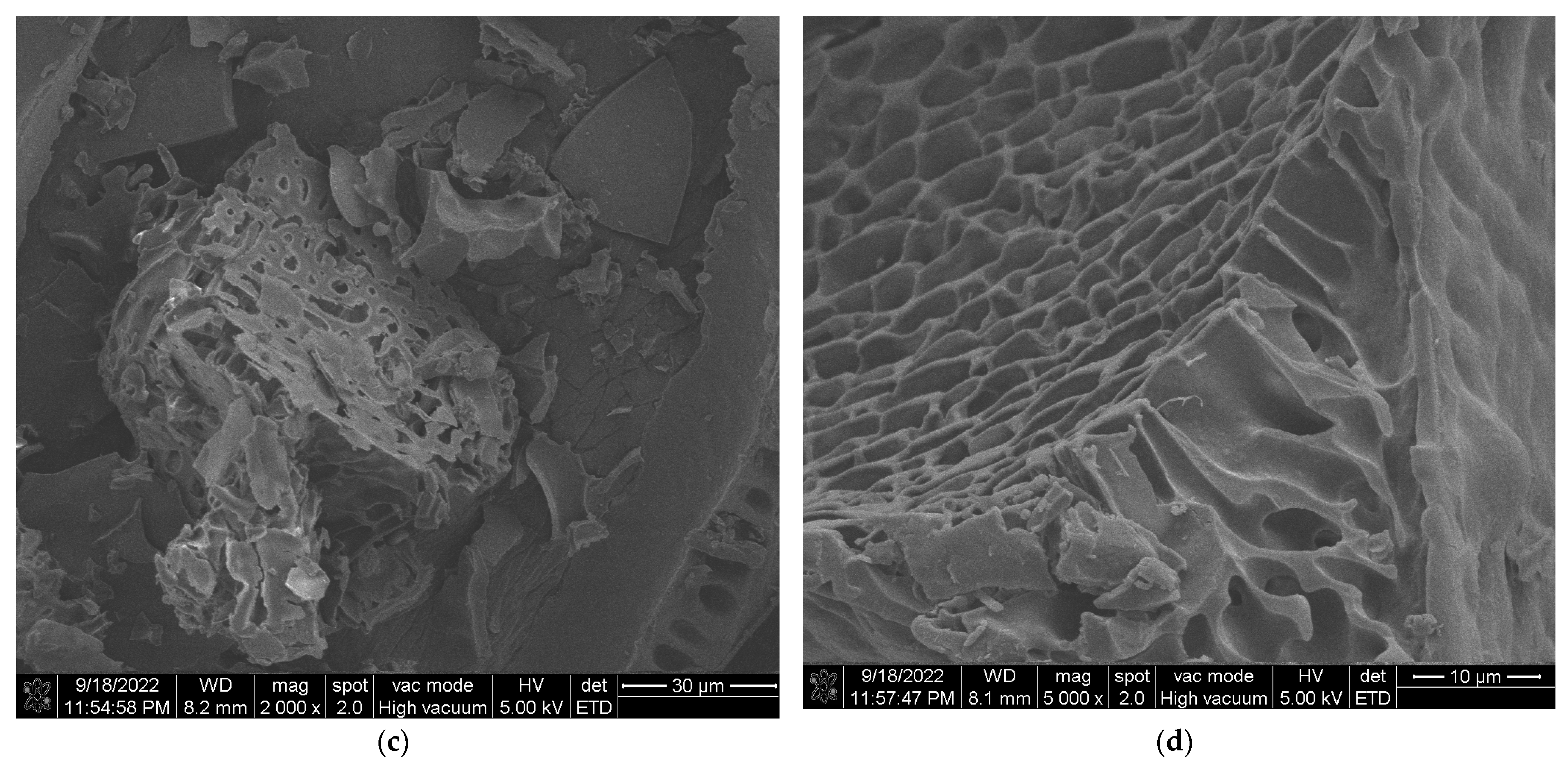 Foods 13 00618 g004b