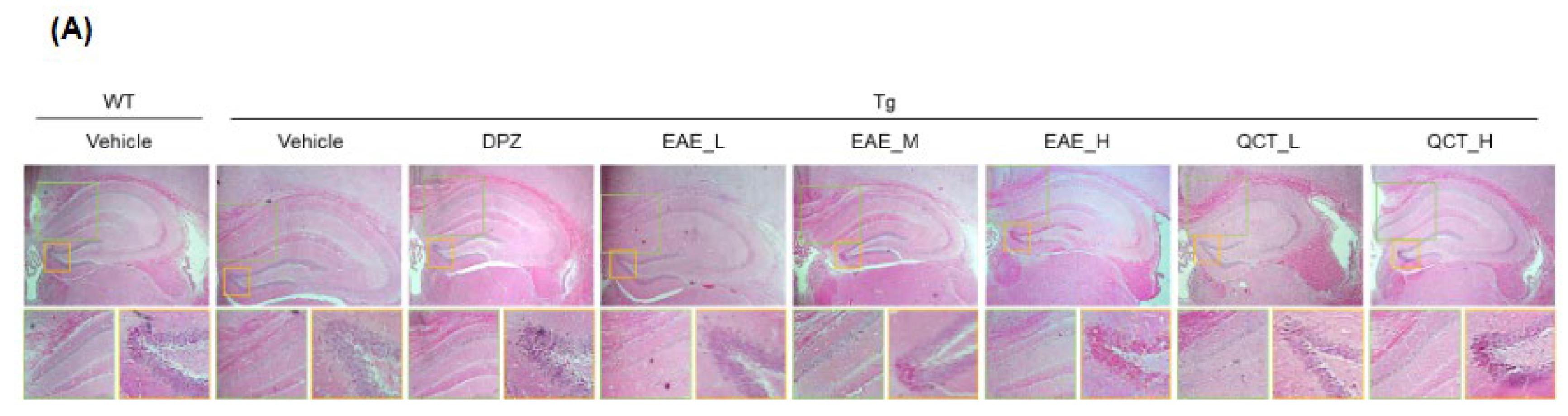 Foods 13 00682 g005a