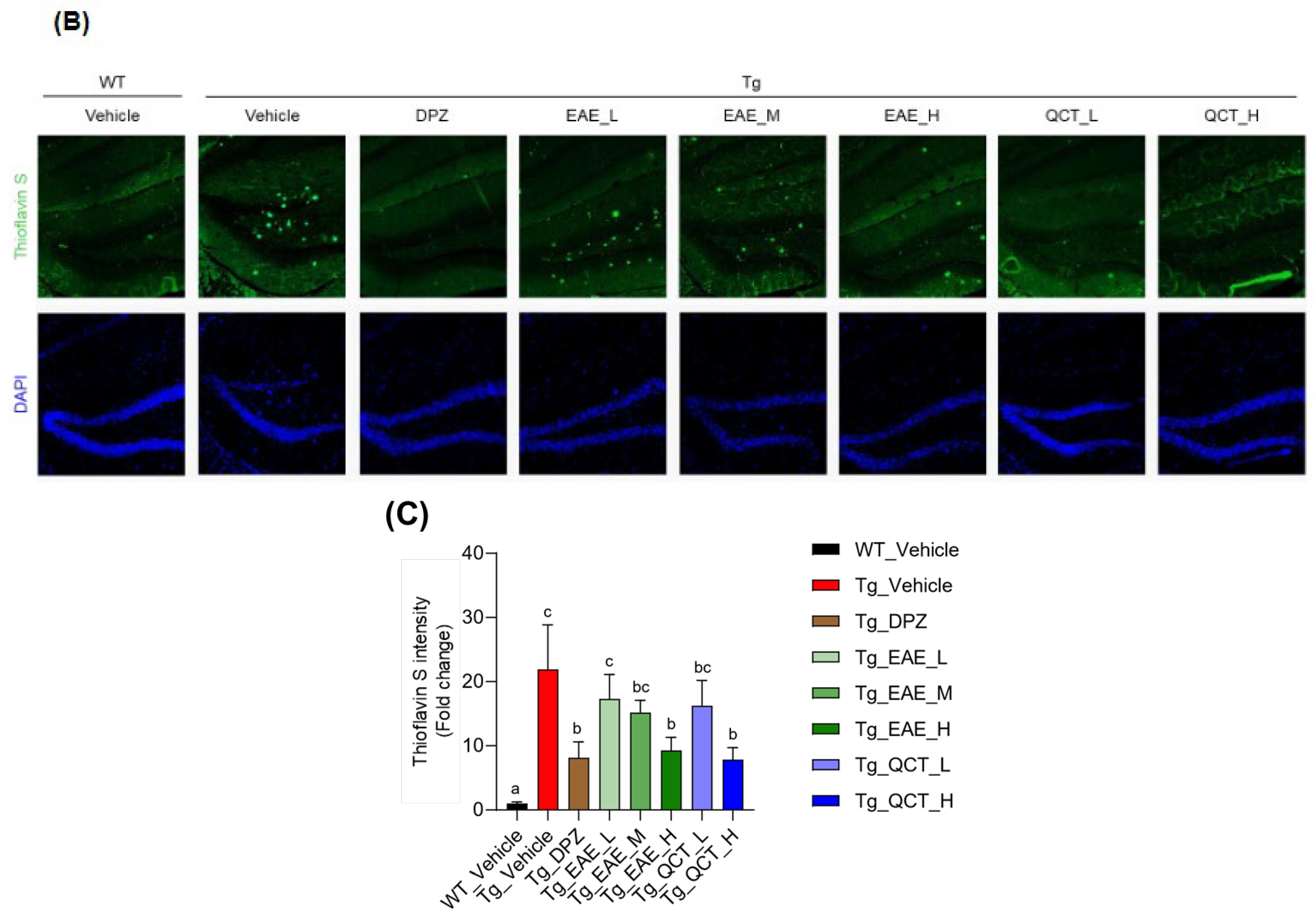 Foods 13 00682 g005b