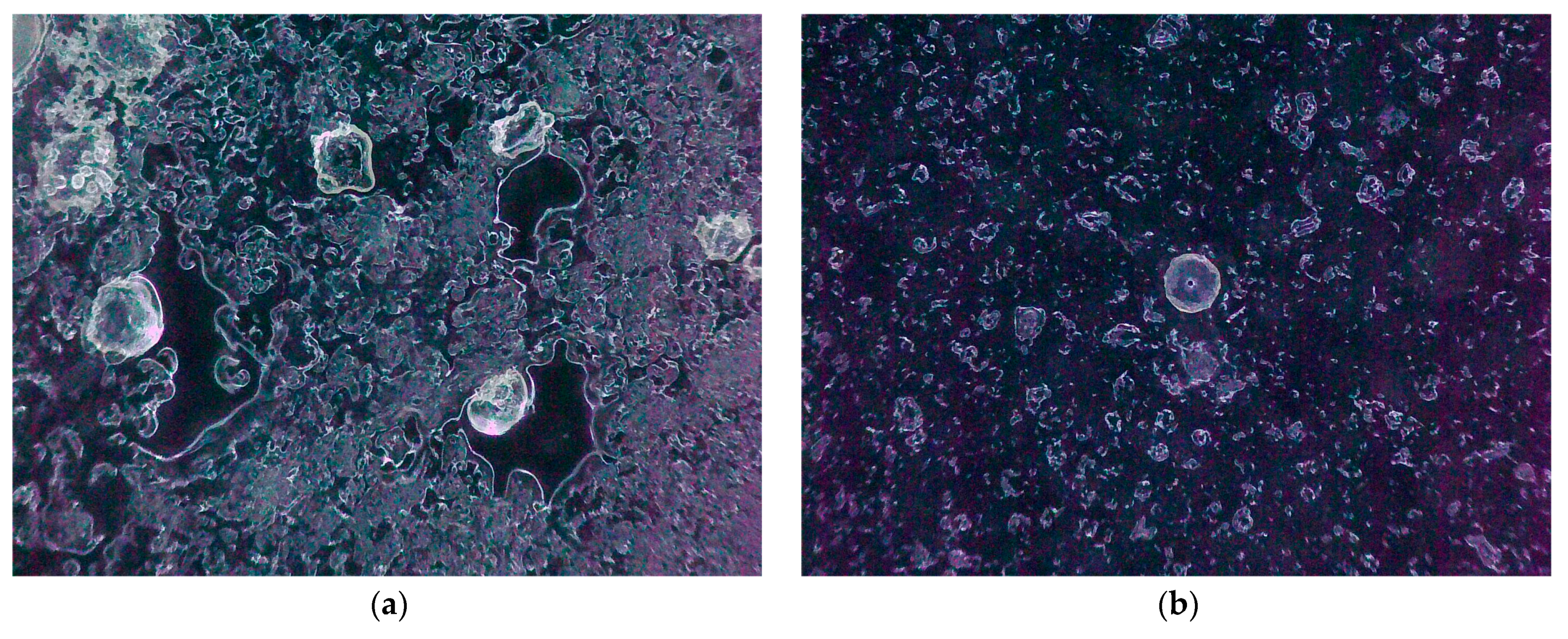 Foods 13 00769 g002a