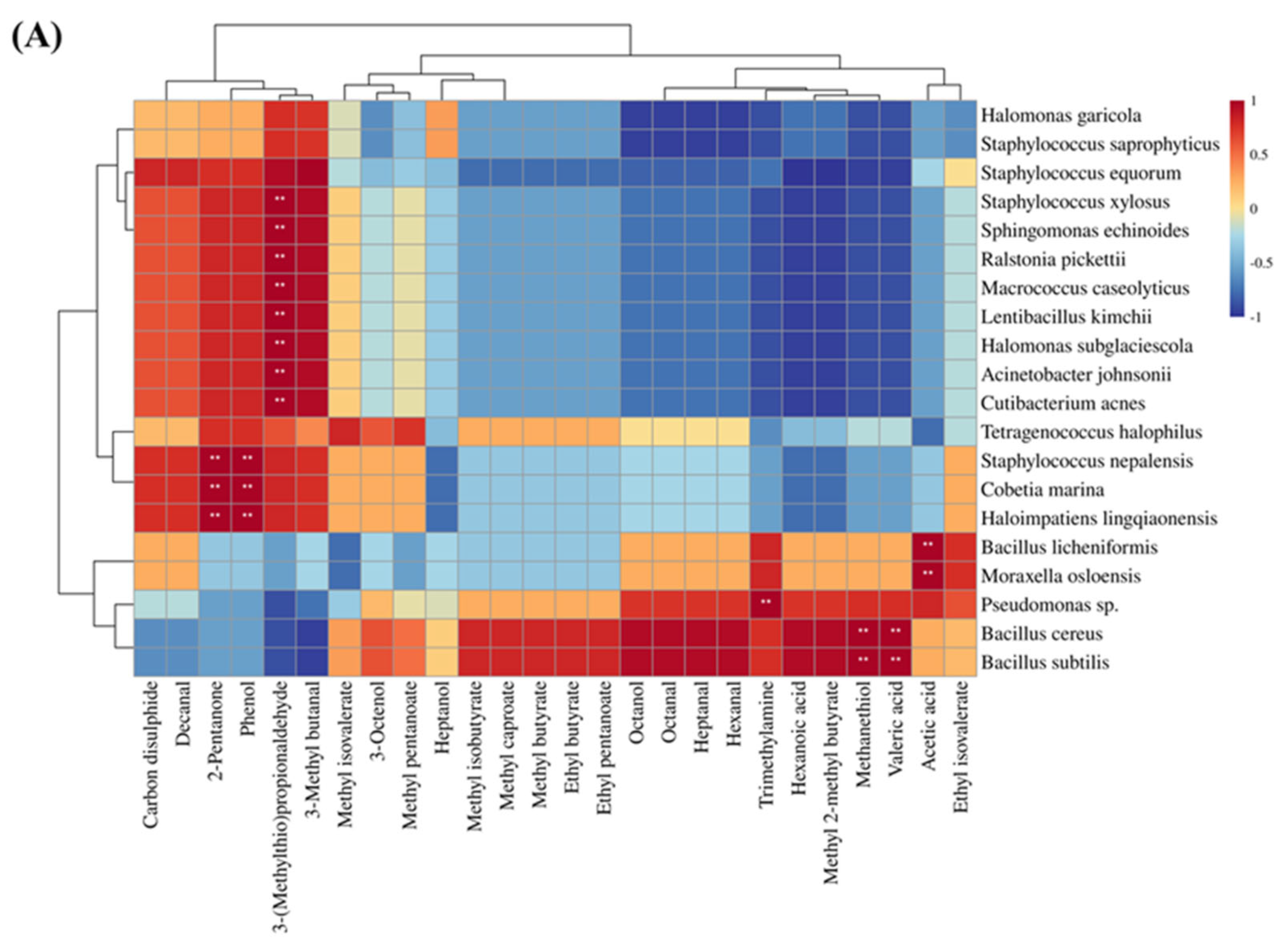 Foods 13 00776 g006a