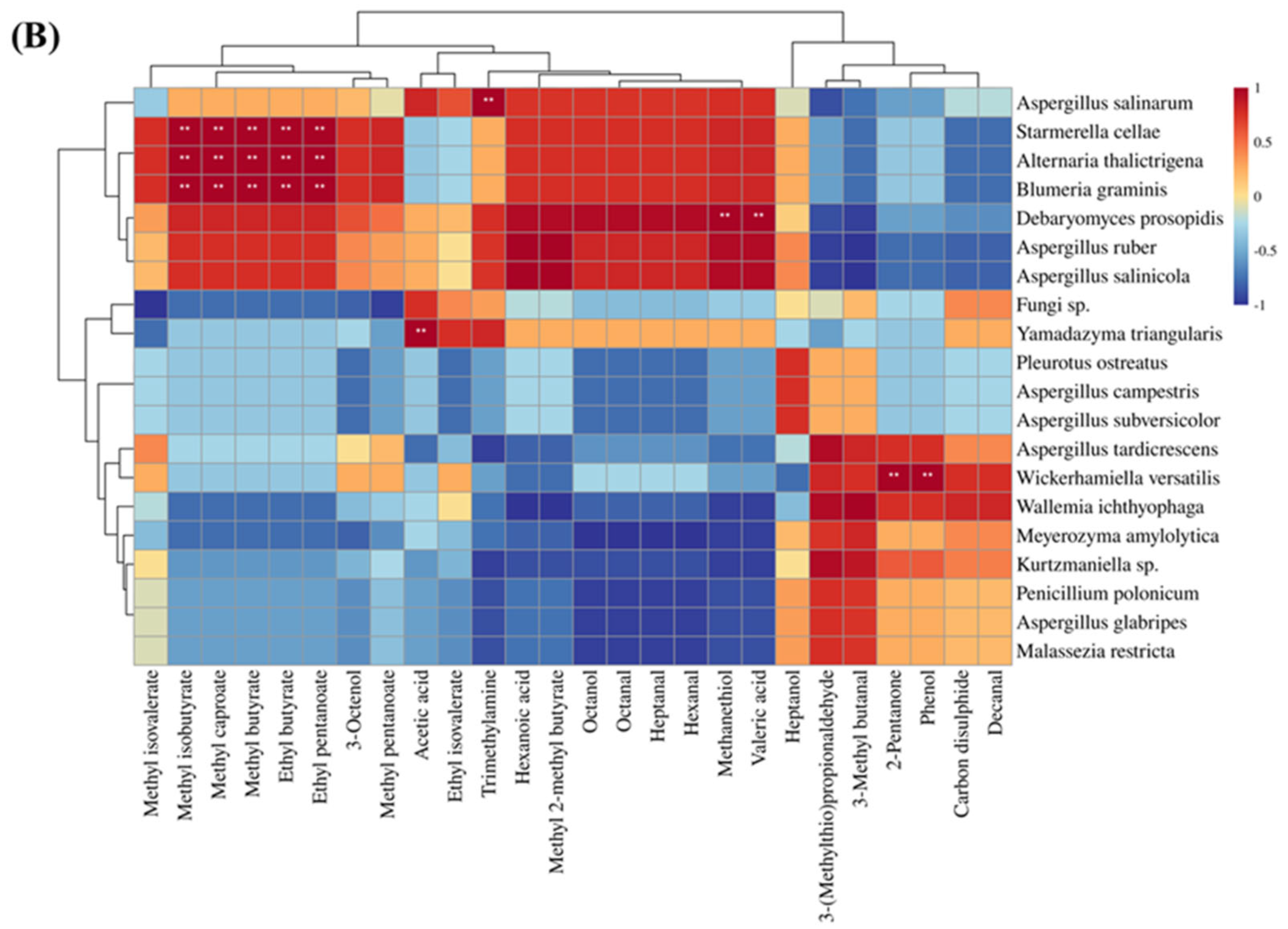 Foods 13 00776 g006b