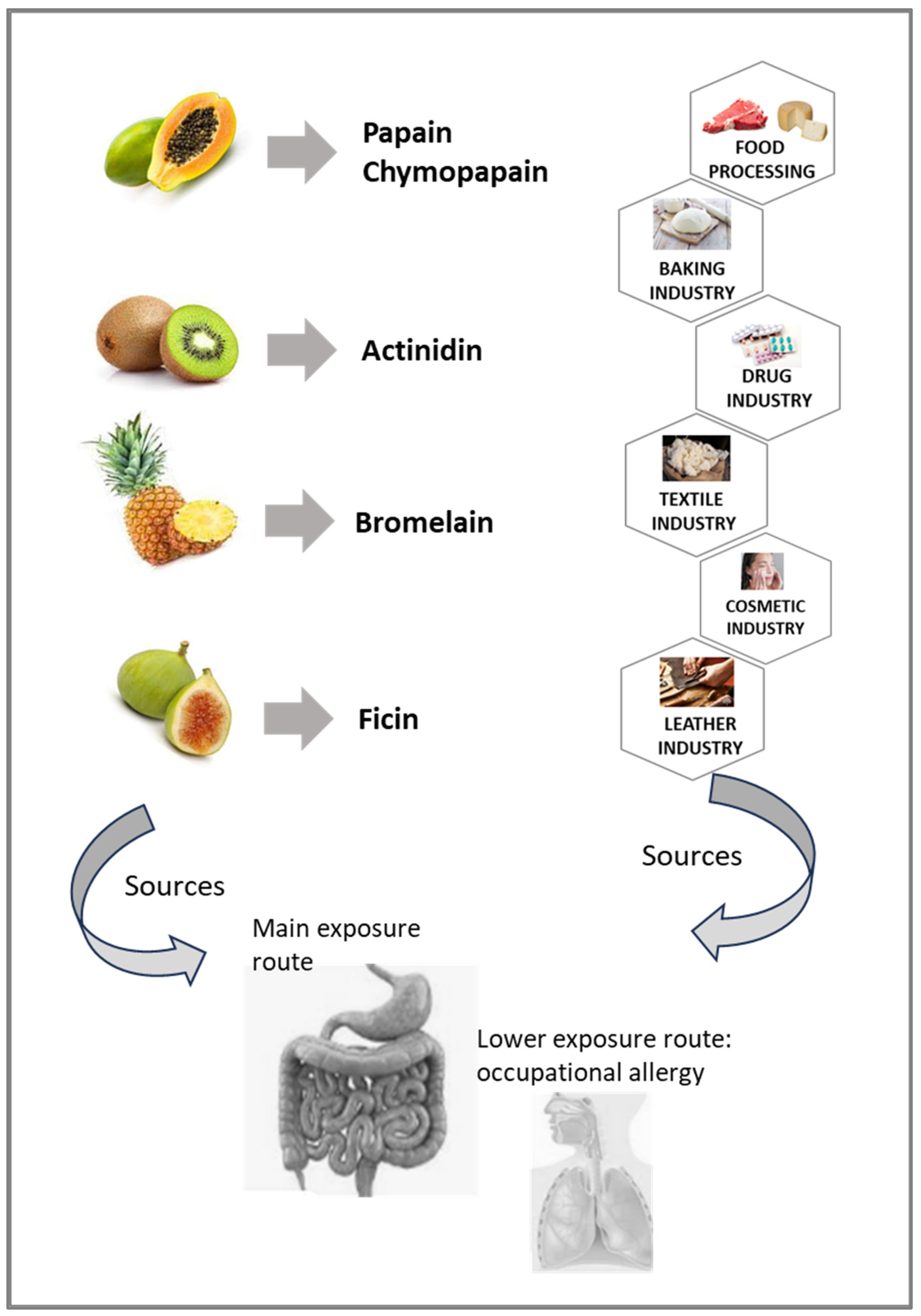 Foods 13 00790 g001 Foods 13 00790 g001