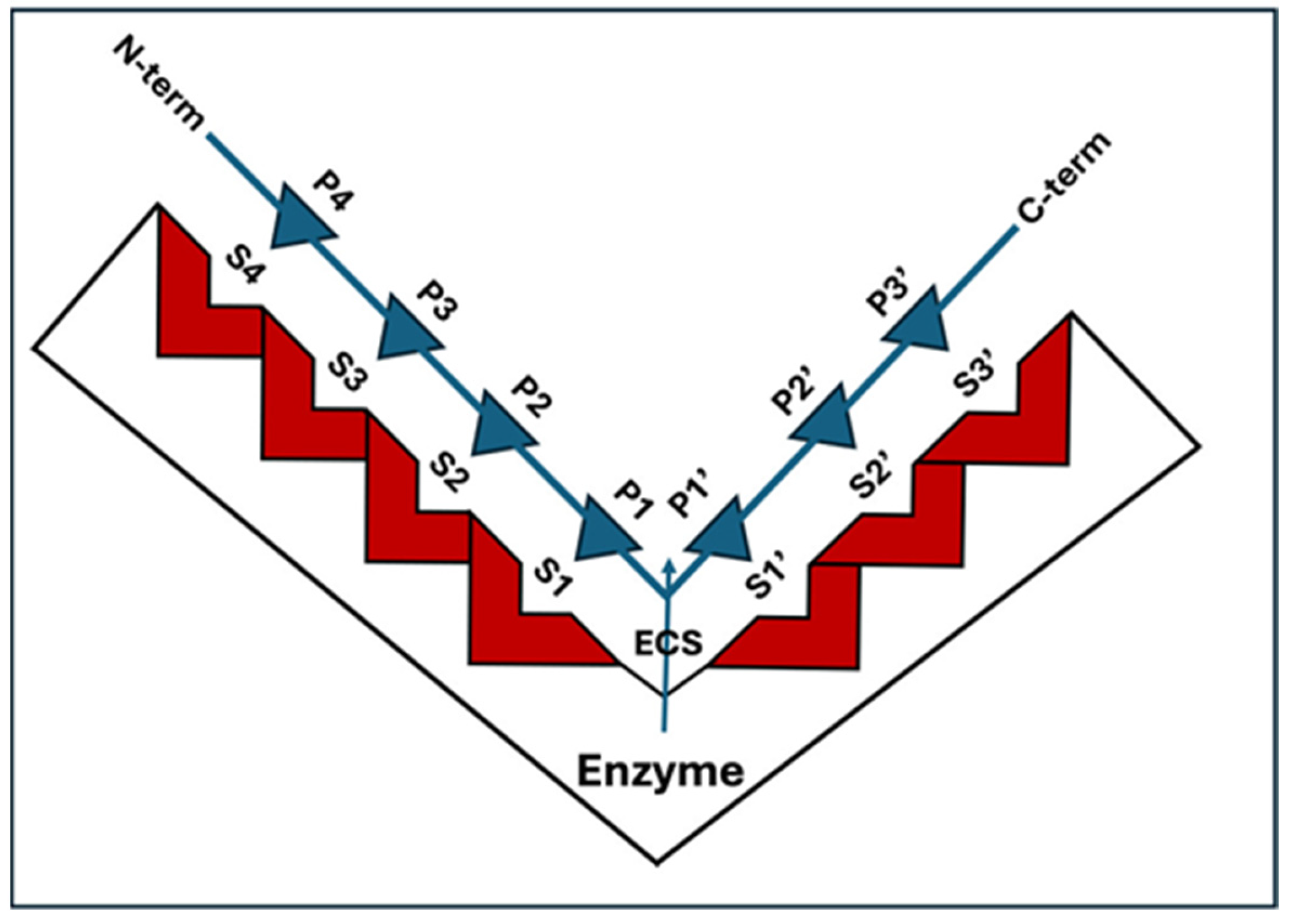 Foods 13 00790 g004 Foods 13 00790 g004