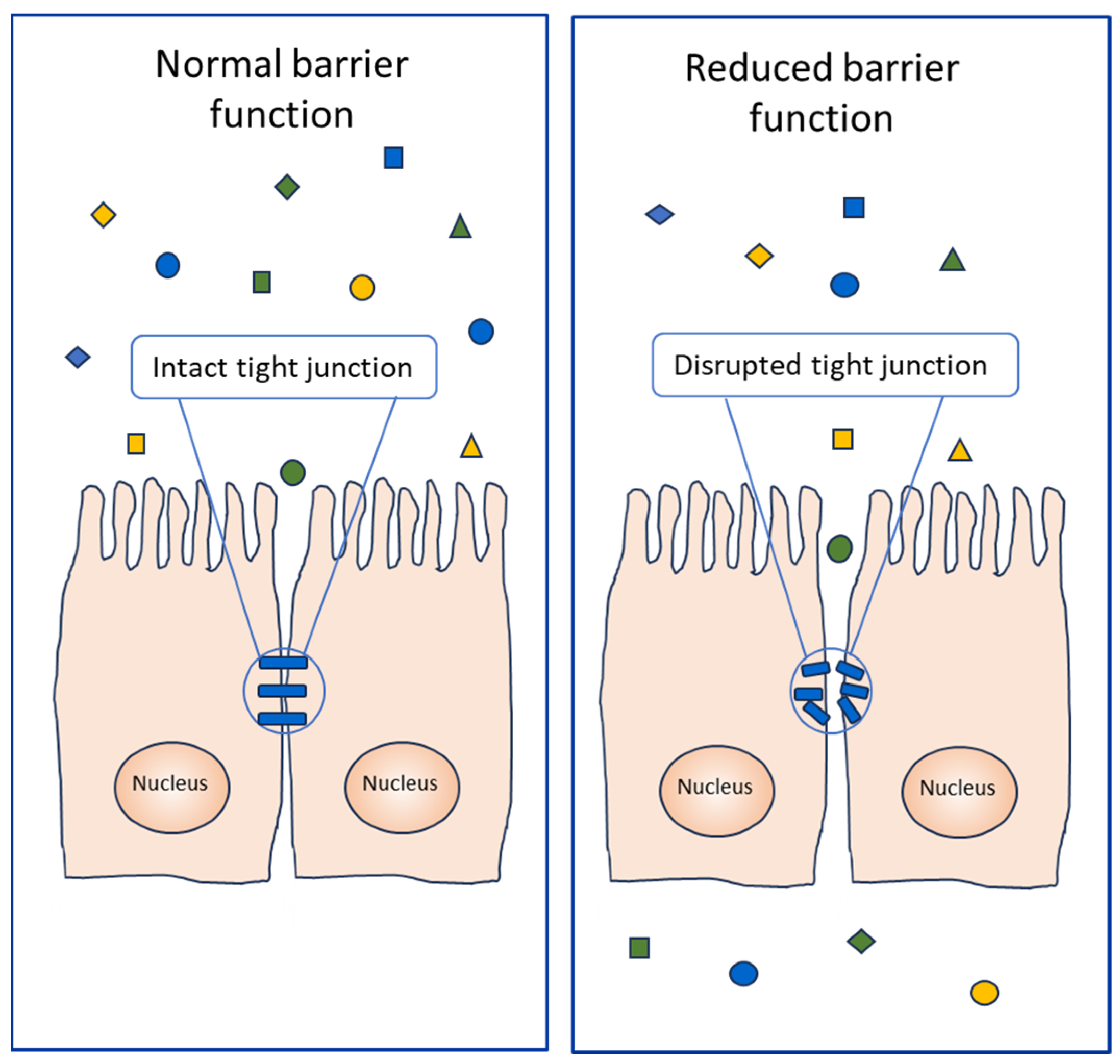 Foods 13 00790 g005 Foods 13 00790 g005